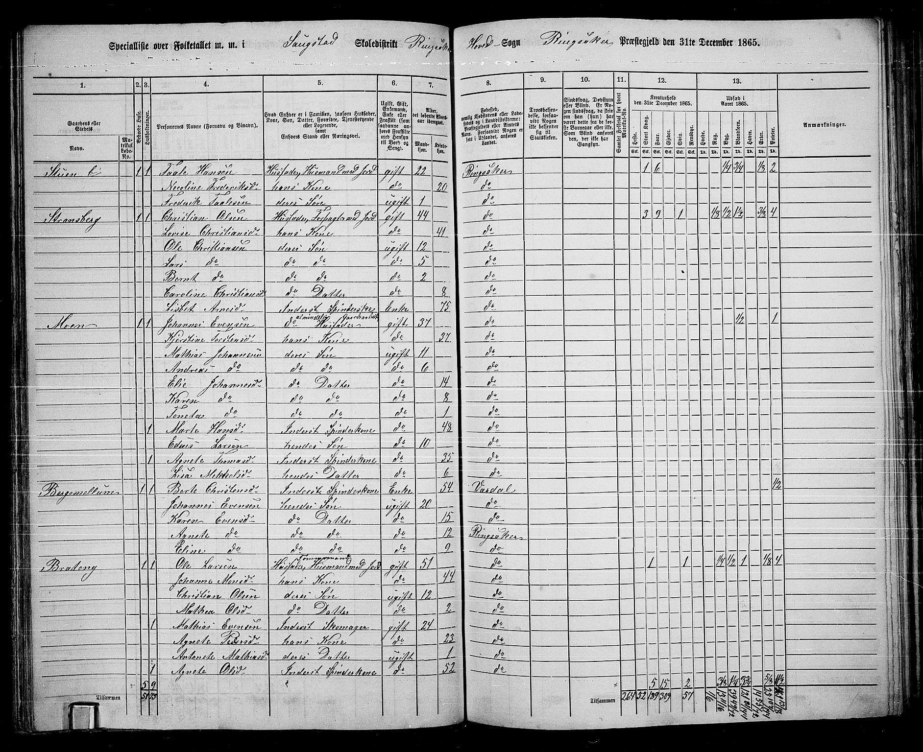 RA, 1865 census for Ringsaker, 1865, p. 110