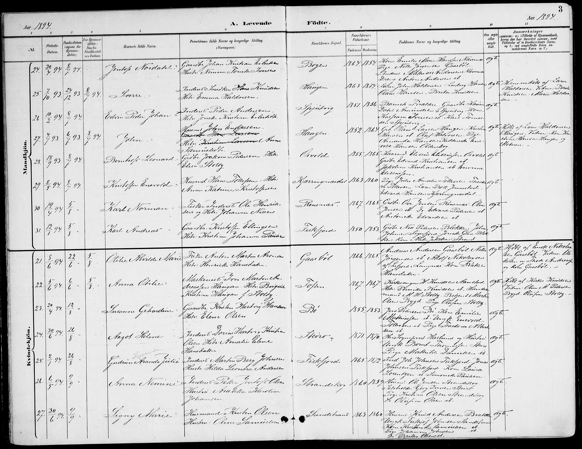 Ministerialprotokoller, klokkerbøker og fødselsregistre - Nordland, AV/SAT-A-1459/895/L1372: Parish register (official) no. 895A07, 1894-1914, p. 3