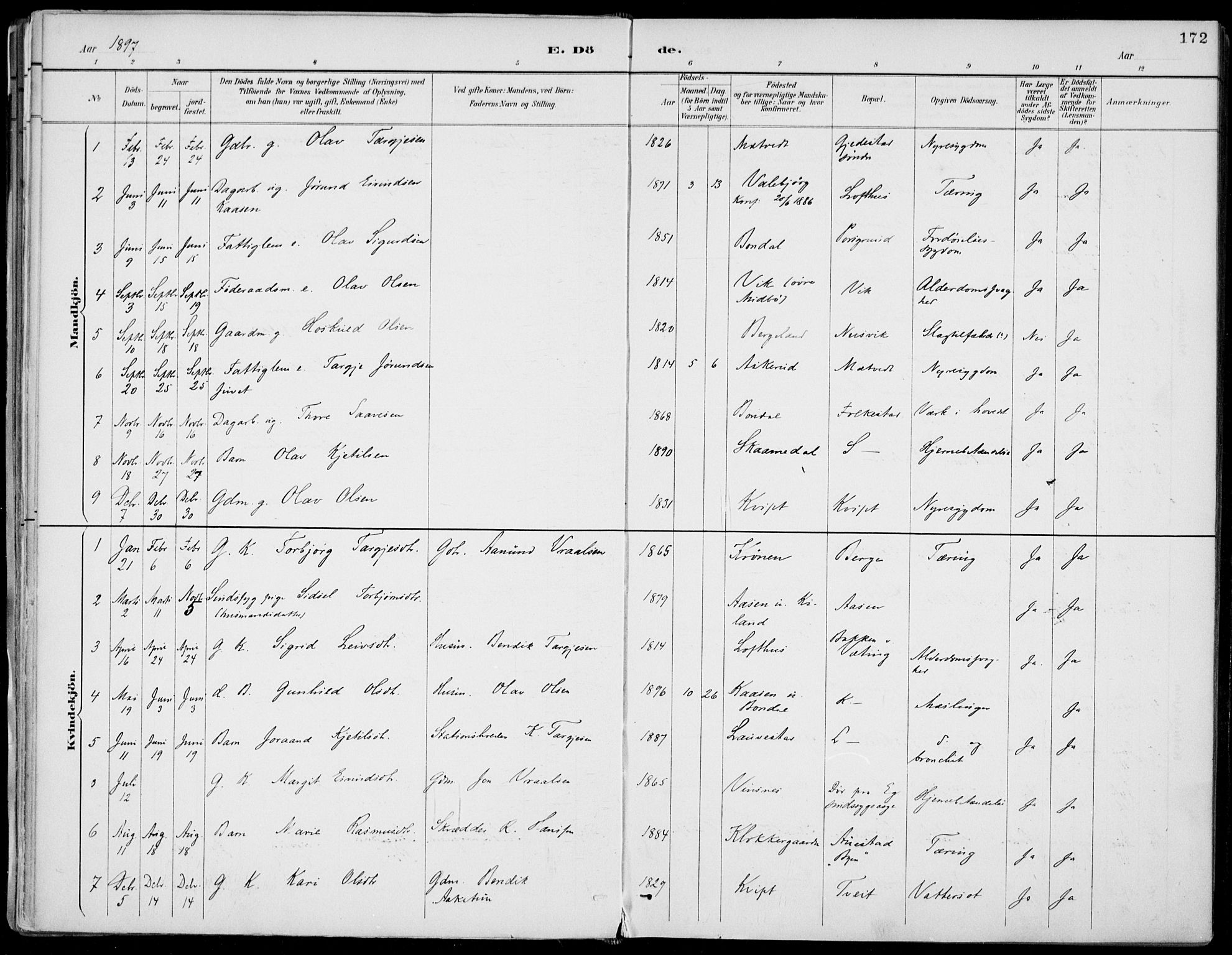 Fyresdal kirkebøker, SAKO/A-263/F/Fa/L0007: Parish register (official) no. I 7, 1887-1914, p. 172