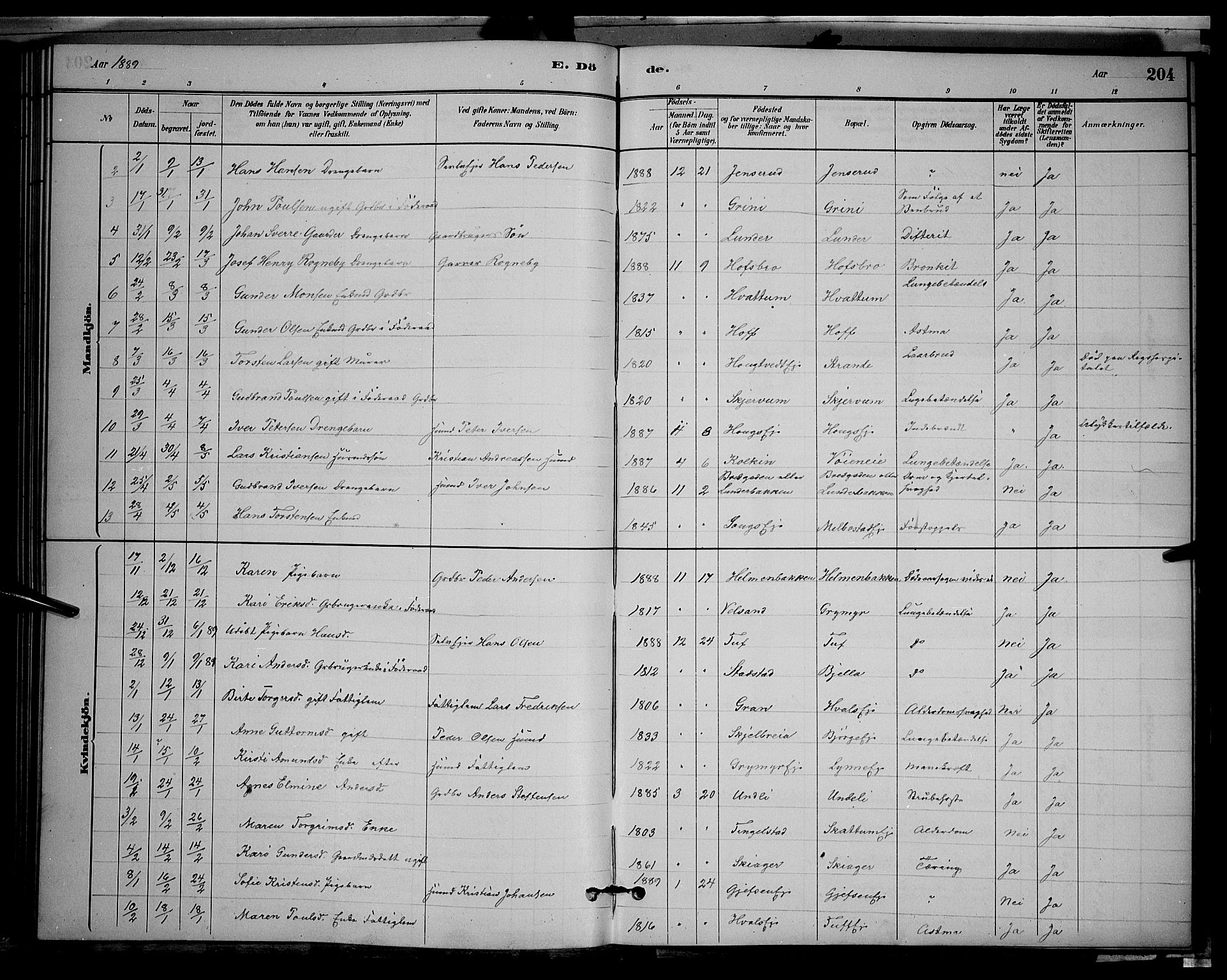Gran prestekontor, SAH/PREST-112/H/Ha/Hab/L0002: Parish register (copy) no. 2, 1879-1892, p. 204