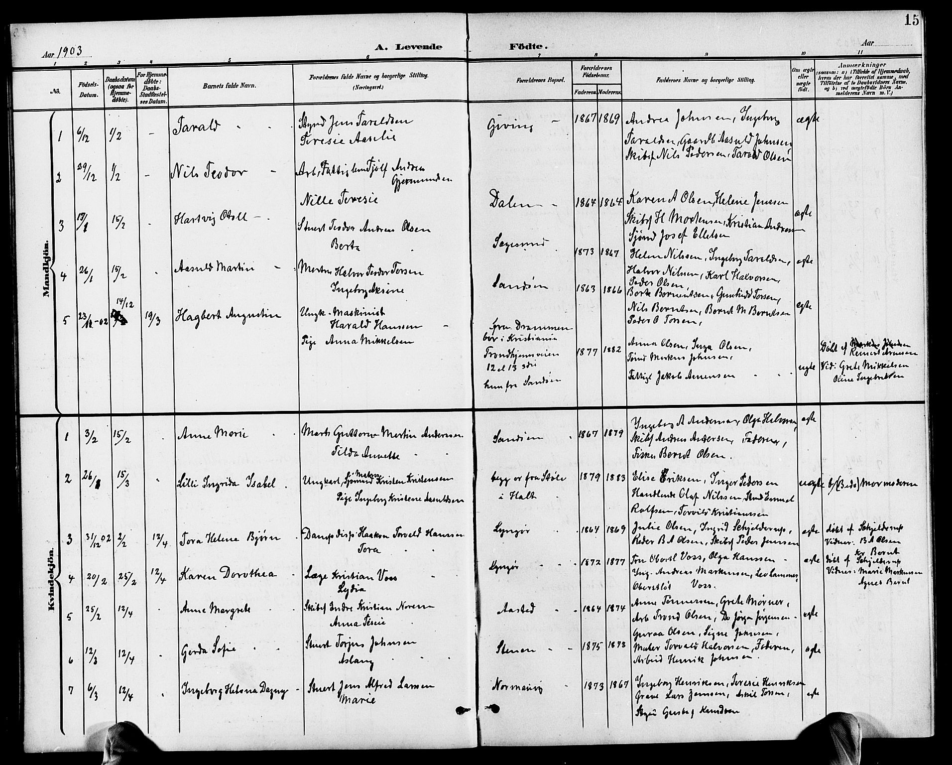 Dypvåg sokneprestkontor, AV/SAK-1111-0007/F/Fb/Fba/L0014: Parish register (copy) no. B 14, 1901-1922, p. 15