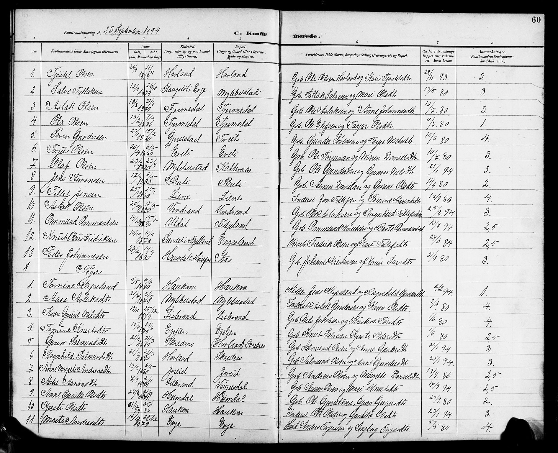 Herefoss sokneprestkontor, SAK/1111-0019/F/Fb/Fbb/L0003: Parish register (copy) no. B 3, 1892-1917, p. 60