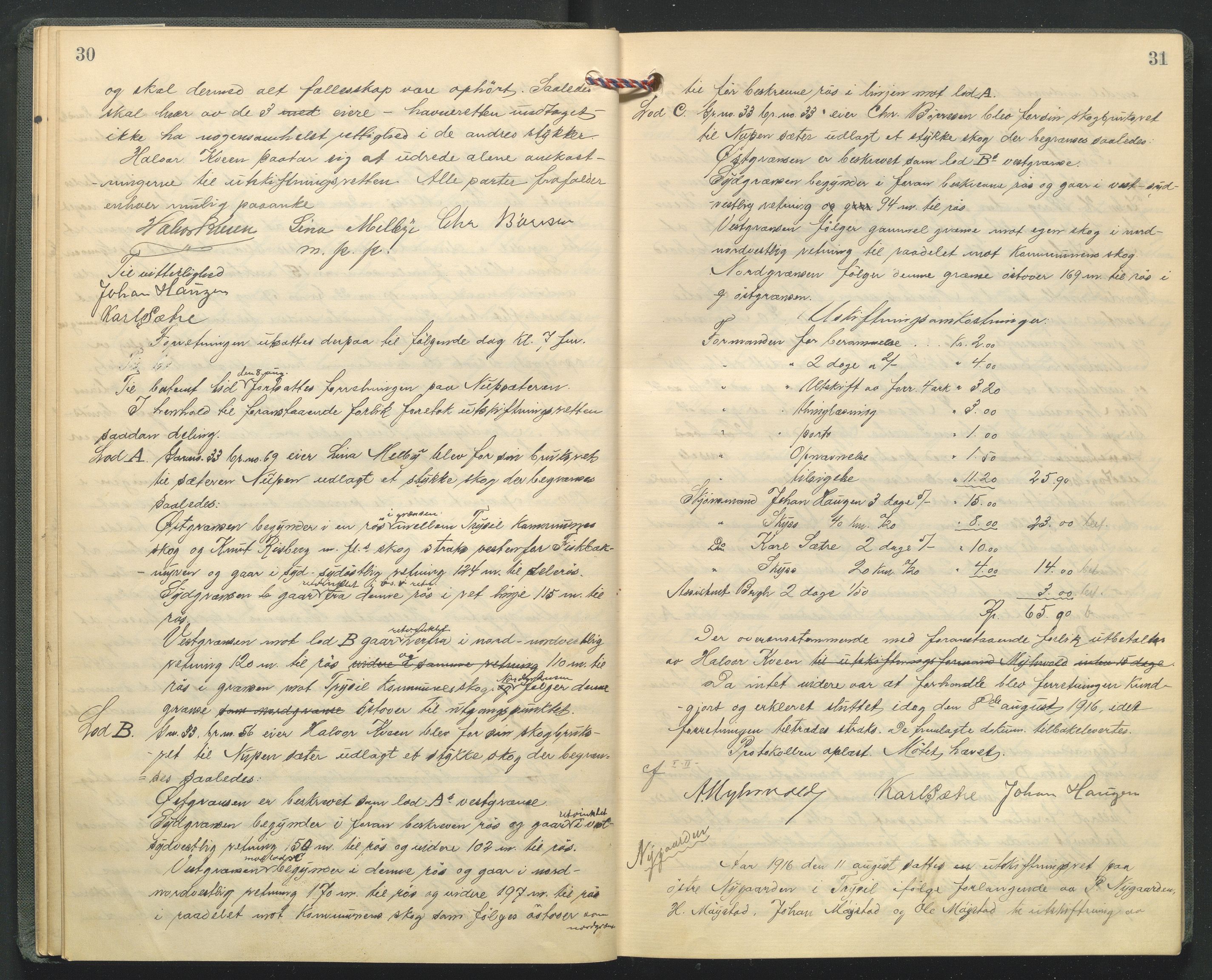 Hedmark og Østerdal jordskifterett, AV/SAH-JORDSKIFTEH-002/G/Ga/L0005/0001: Rettsbøker / Rettsbok - O, 1916-1921, p. 30-31
