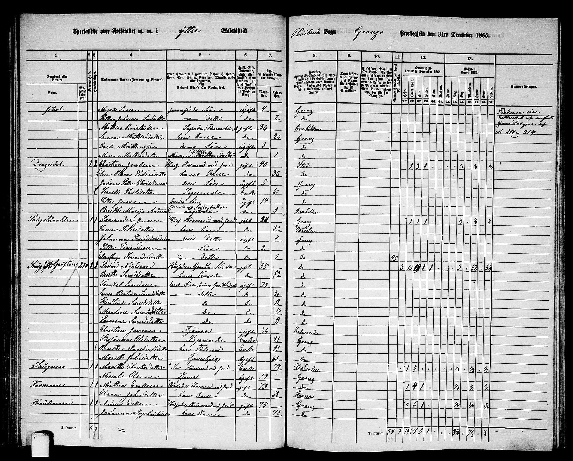 RA, 1865 census for Grong, 1865, p. 62