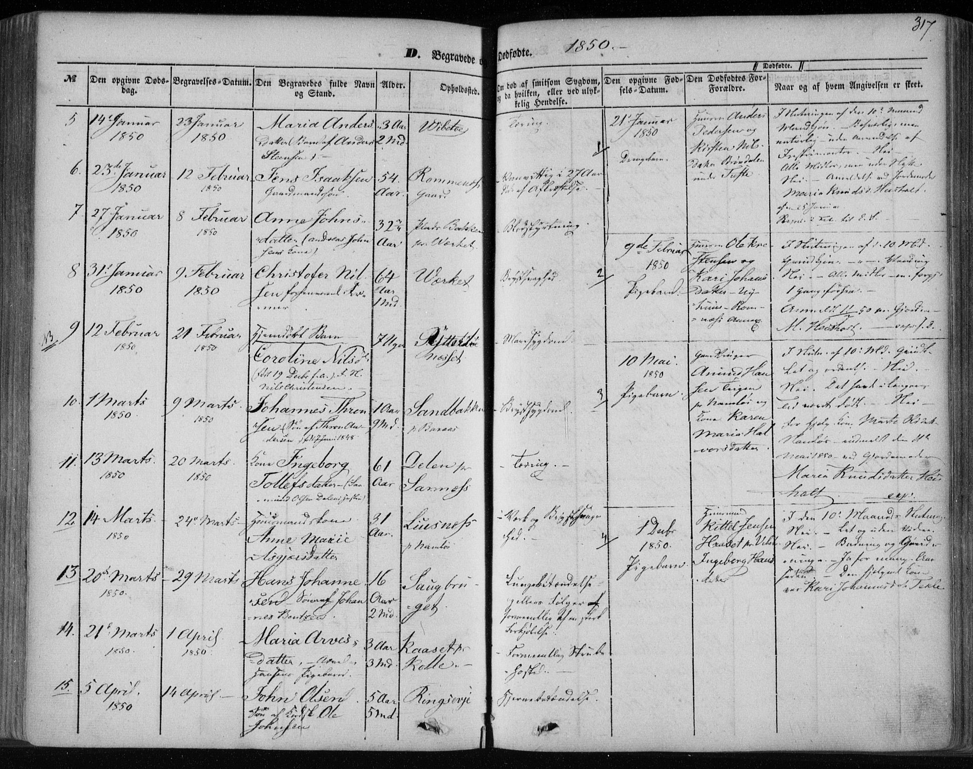 Holla kirkebøker, SAKO/A-272/F/Fa/L0005: Parish register (official) no. 5, 1849-1860, p. 317