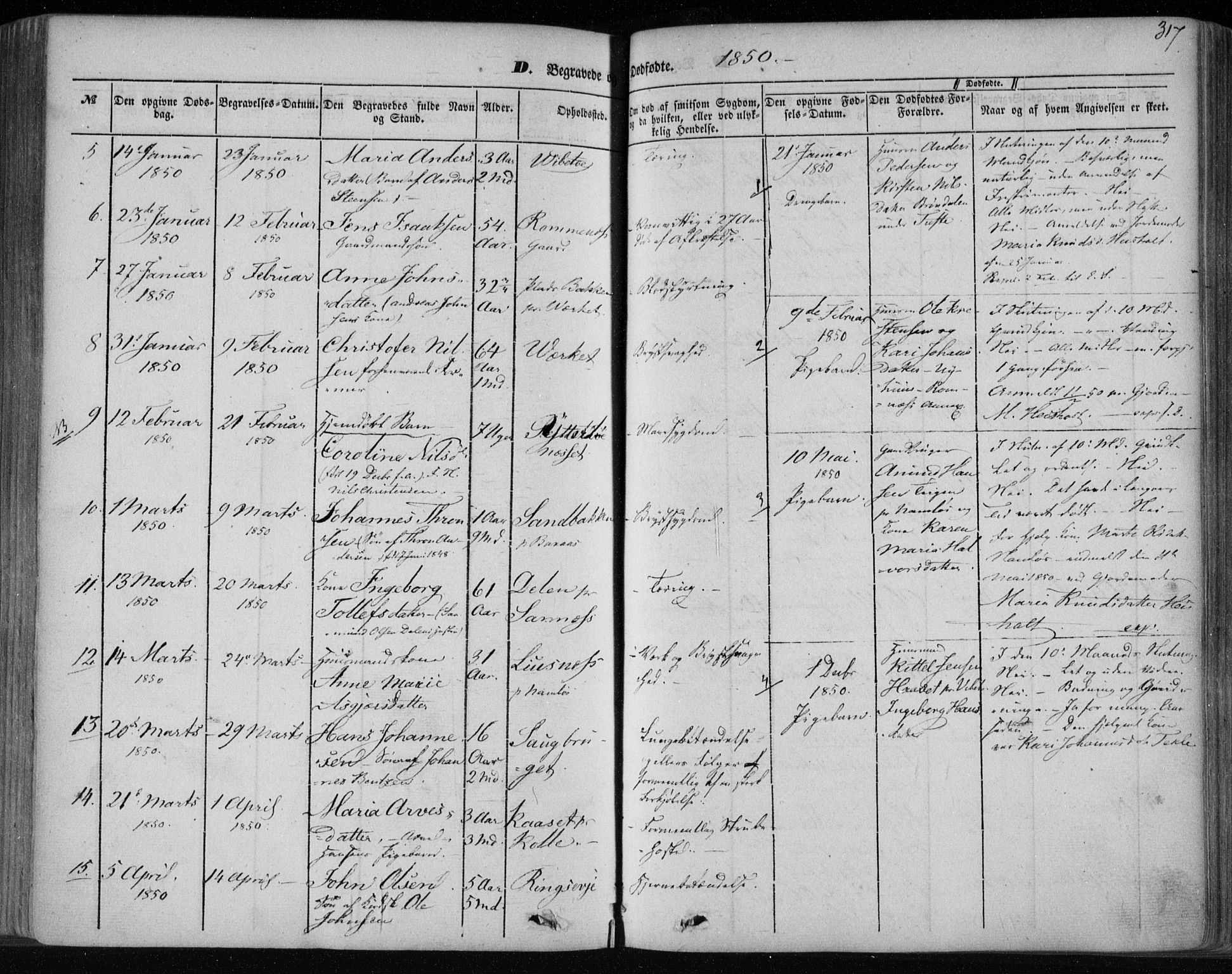 Holla kirkebøker, AV/SAKO-A-272/F/Fa/L0005: Parish register (official) no. 5, 1849-1860, p. 317