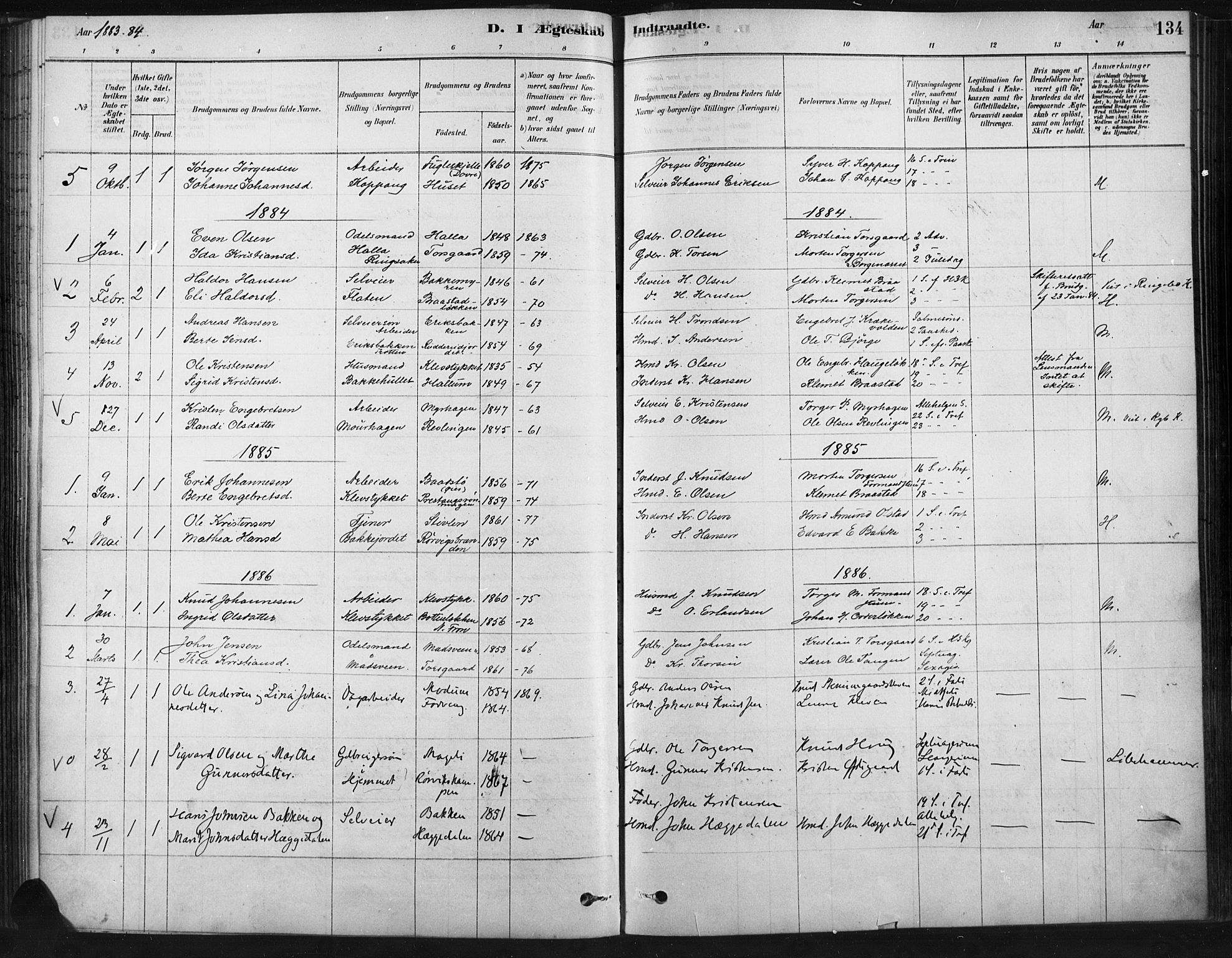 Ringebu prestekontor, SAH/PREST-082/H/Ha/Haa/L0009: Parish register (official) no. 9, 1878-1898, p. 134