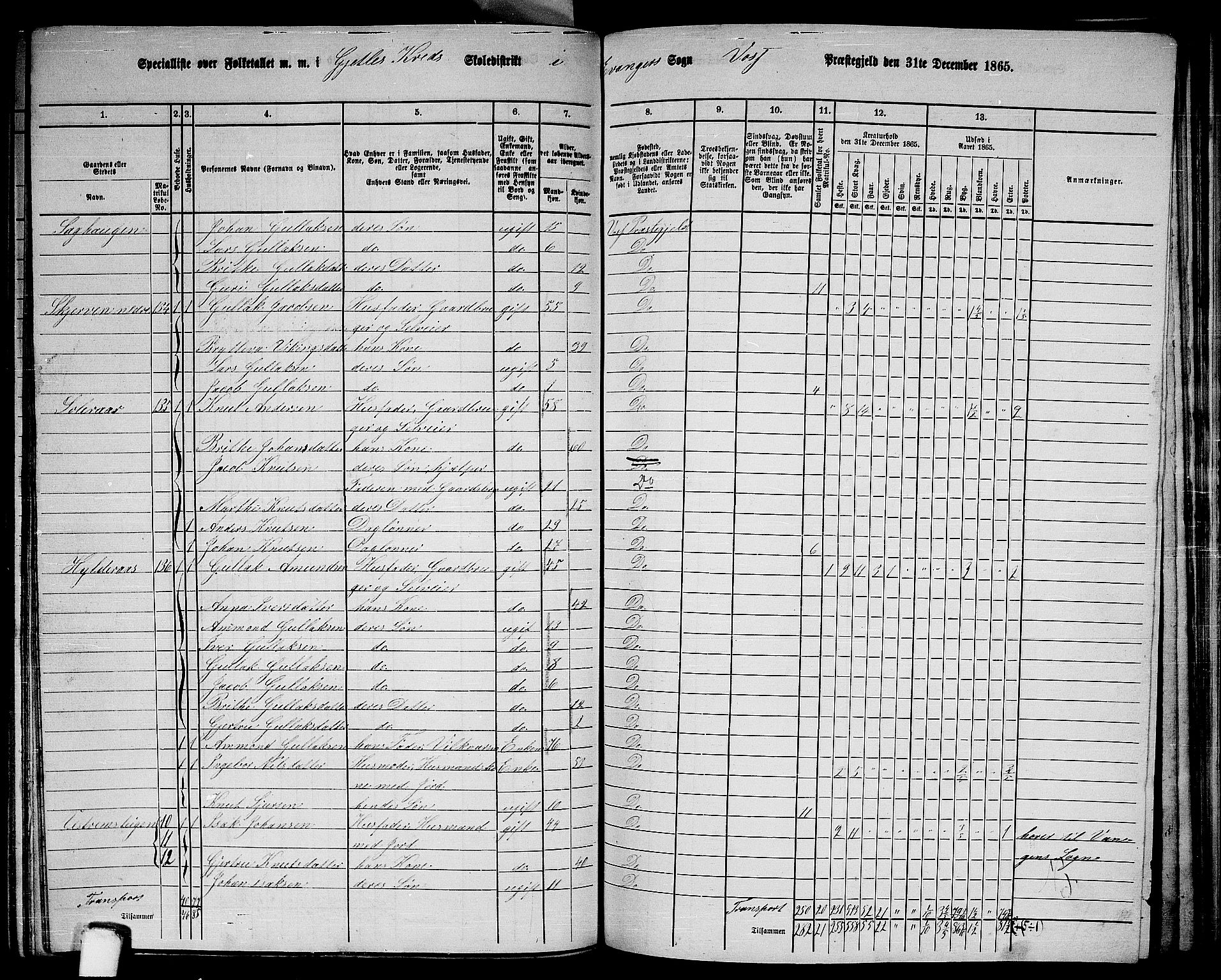 RA, 1865 census for Voss, 1865, p. 378