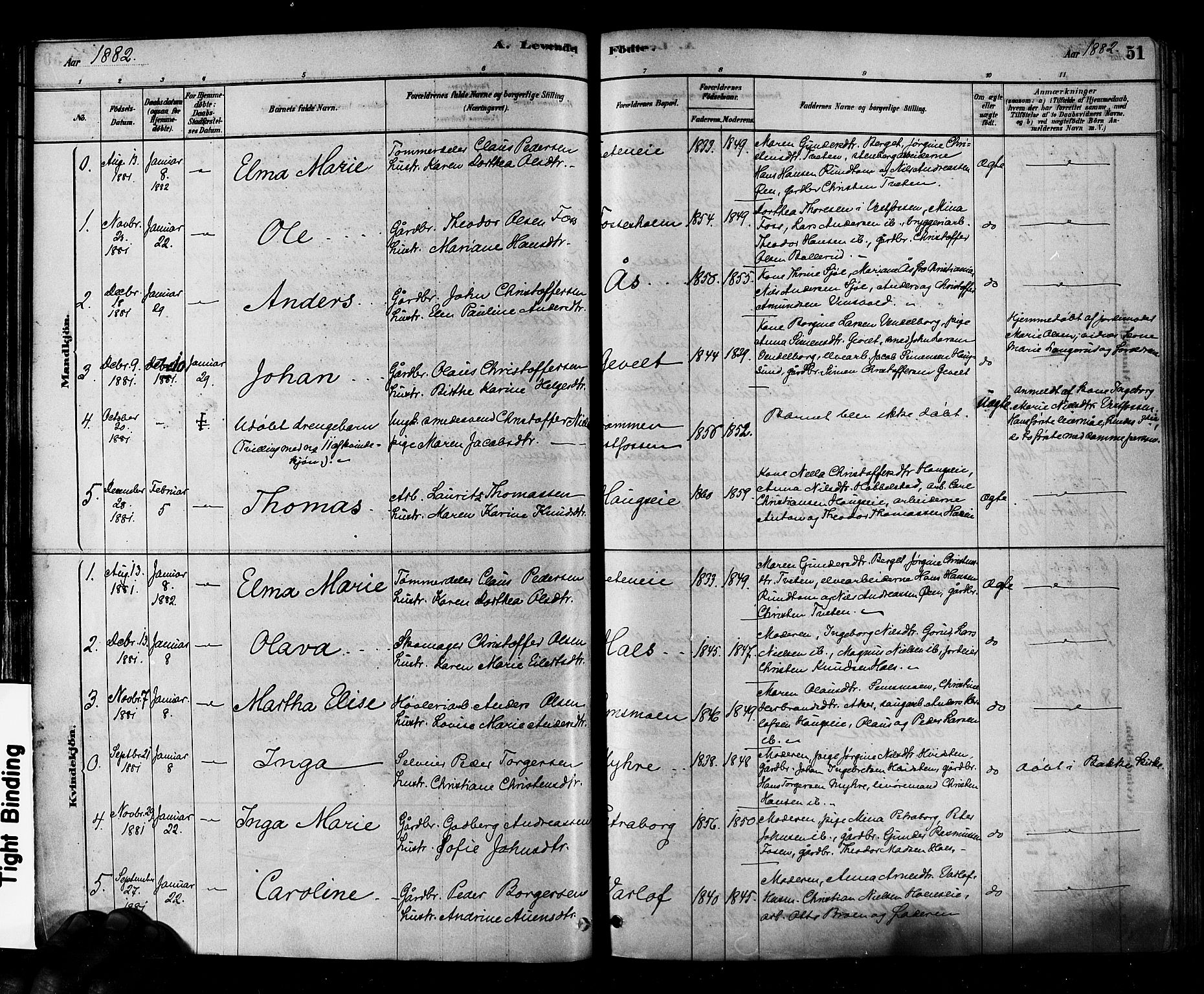 Eiker kirkebøker, SAKO/A-4/F/Fb/L0001: Parish register (official) no. II 1, 1878-1888, p. 51