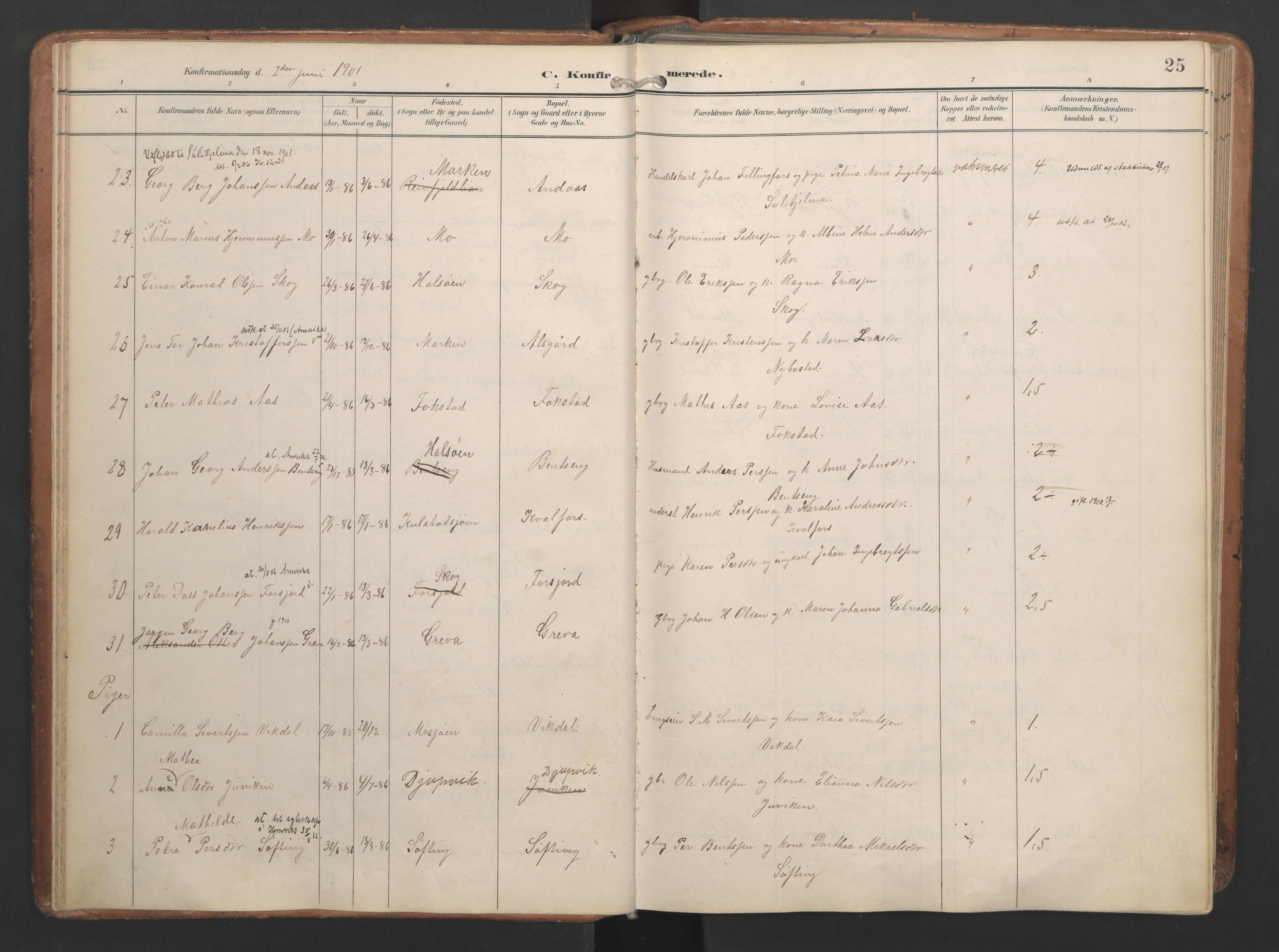 Ministerialprotokoller, klokkerbøker og fødselsregistre - Nordland, AV/SAT-A-1459/820/L0298: Parish register (official) no. 820A19, 1897-1915, p. 25