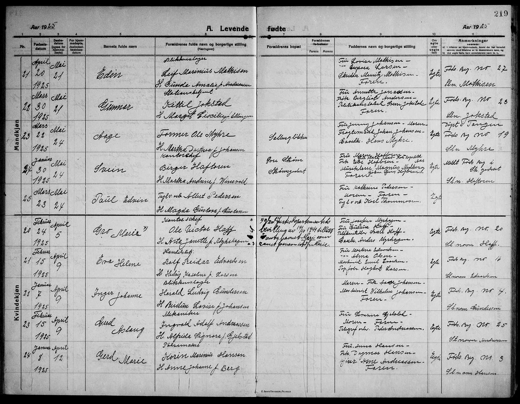 Strømsø kirkebøker, AV/SAKO-A-246/F/Fa/L0029: Parish register (official) no. I 27, 1915-1930, p. 219