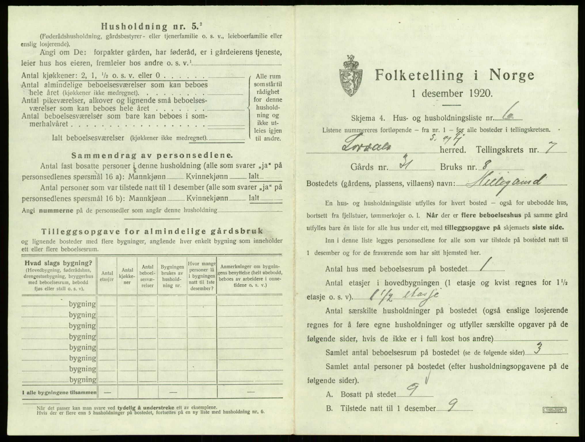 SAB, 1920 census for Lærdal, 1920, p. 541