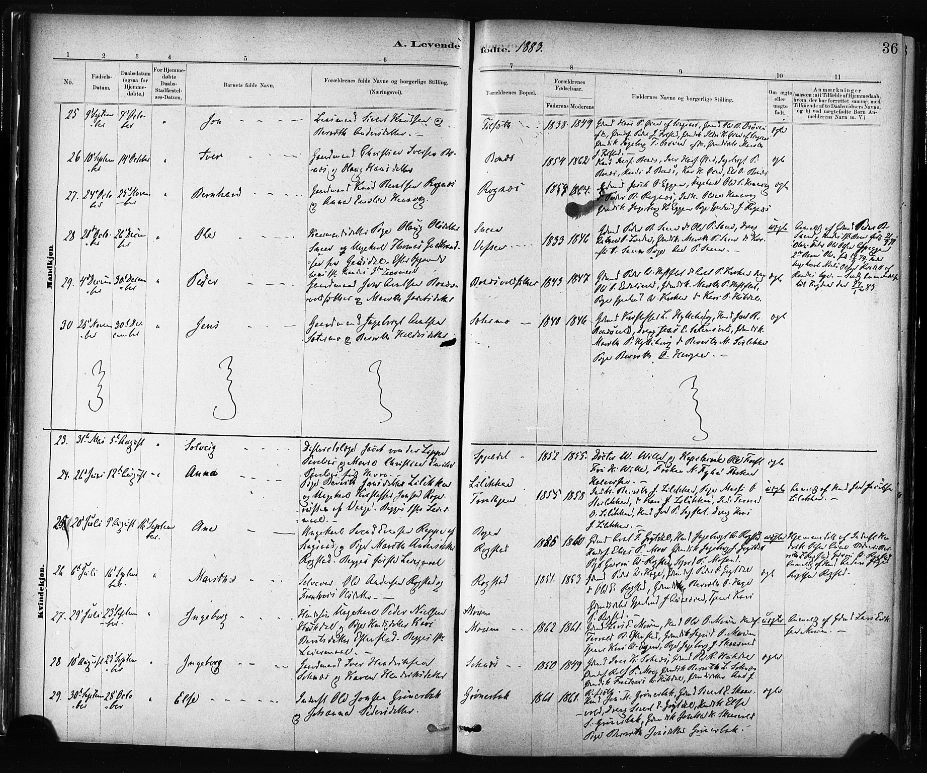 Ministerialprotokoller, klokkerbøker og fødselsregistre - Sør-Trøndelag, SAT/A-1456/687/L1002: Parish register (official) no. 687A08, 1878-1890, p. 36