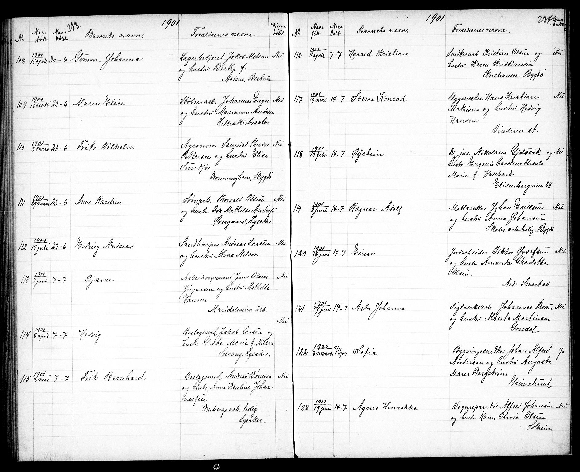Vestre Aker prestekontor Kirkebøker, SAO/A-10025/G/Ga/L0004: Parish register (copy) no. I 4, 1891-1903, p. 233-234