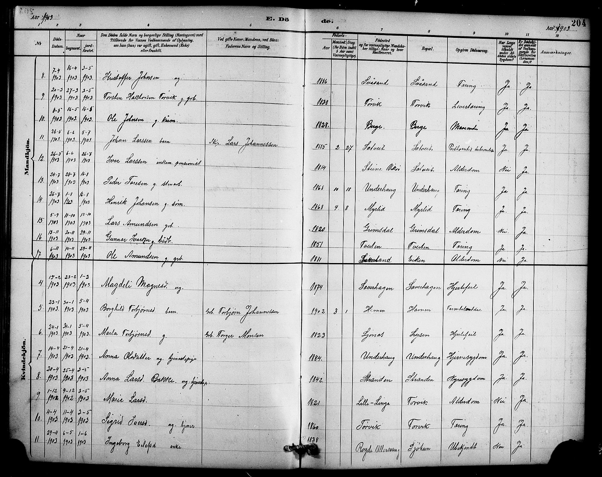 Ullensvang sokneprestembete, AV/SAB-A-78701/H/Hab: Parish register (copy) no. D 1, 1891-1908, p. 204