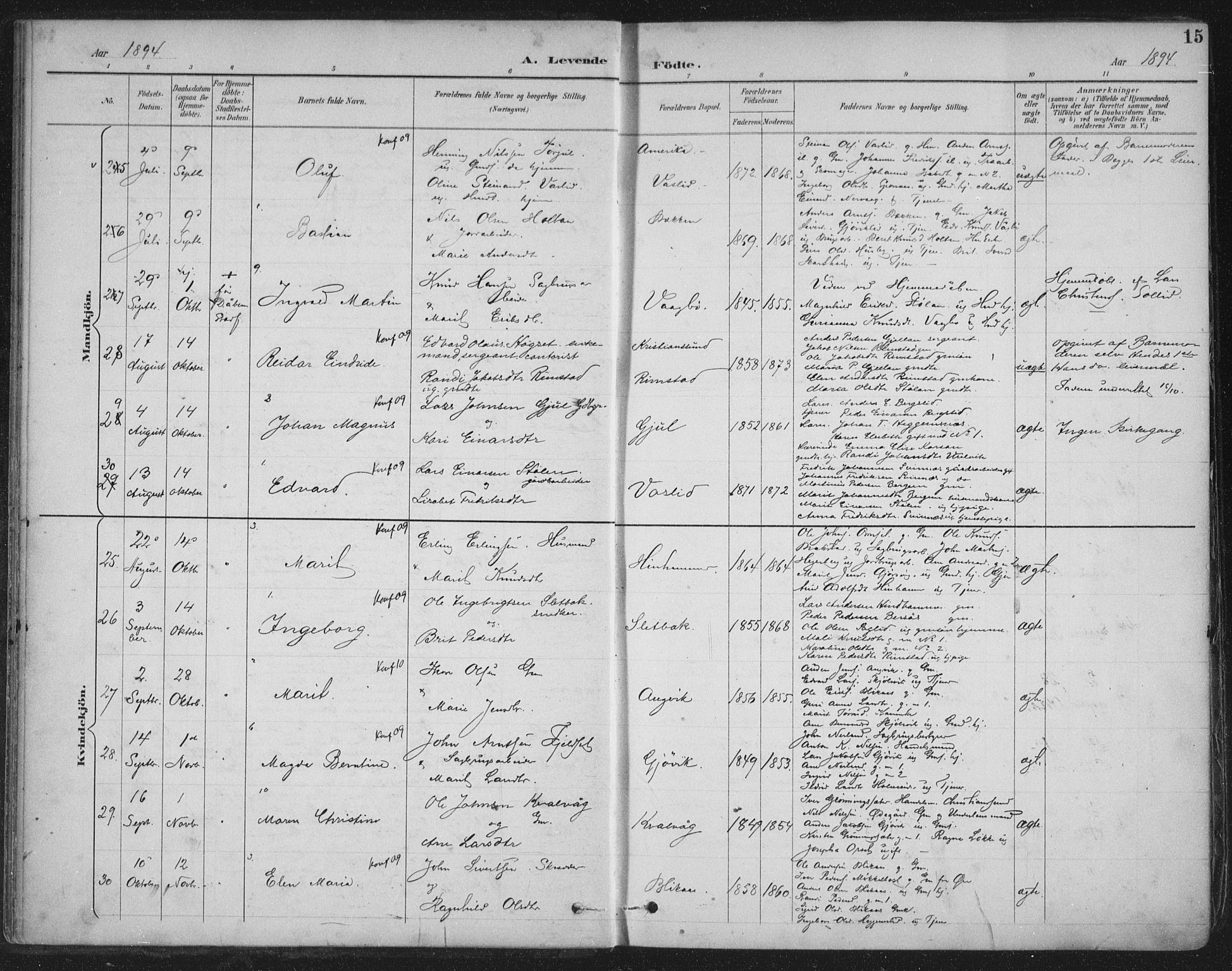 Ministerialprotokoller, klokkerbøker og fødselsregistre - Møre og Romsdal, AV/SAT-A-1454/586/L0988: Parish register (official) no. 586A14, 1893-1905, p. 15