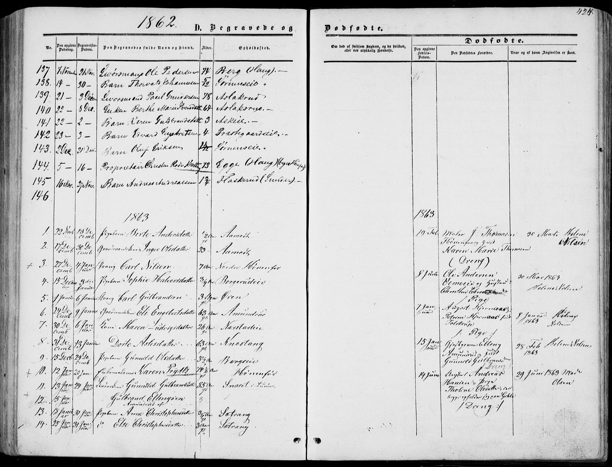 Norderhov kirkebøker, SAKO/A-237/F/Fa/L0012: Parish register (official) no. 12, 1856-1865, p. 424