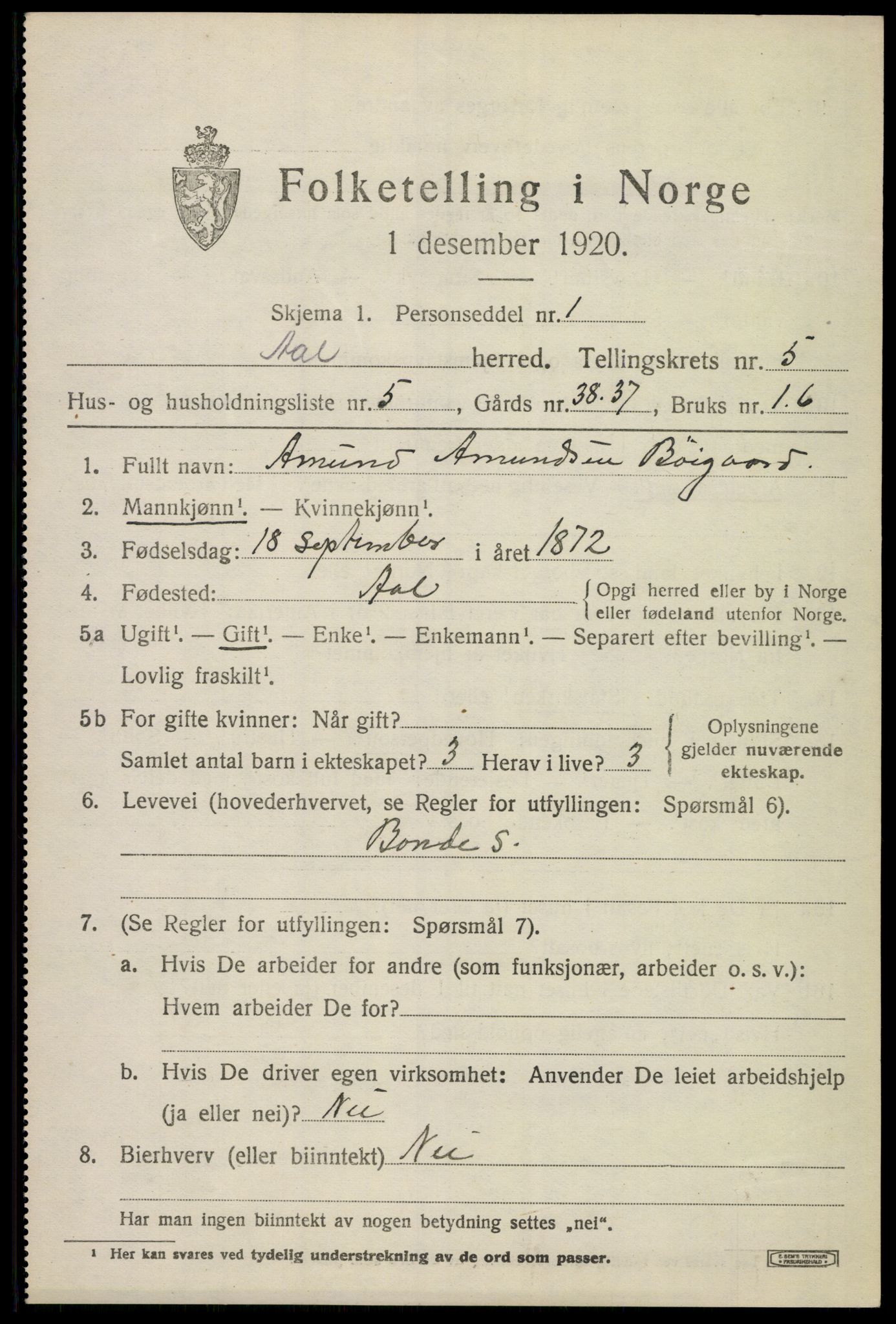 SAKO, 1920 census for Ål, 1920, p. 3898