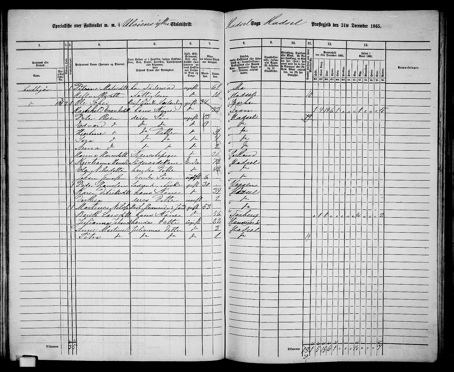 RA, 1865 census for Hadsel, 1865, p. 107