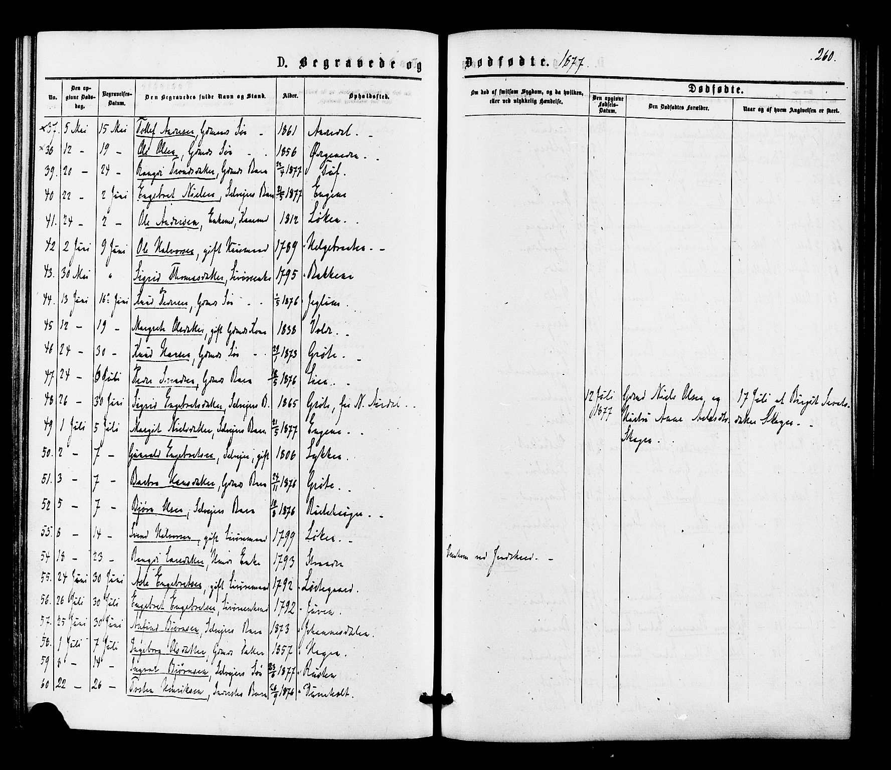 Gol kirkebøker, SAKO/A-226/F/Fa/L0004: Parish register (official) no. I 4, 1876-1886, p. 260