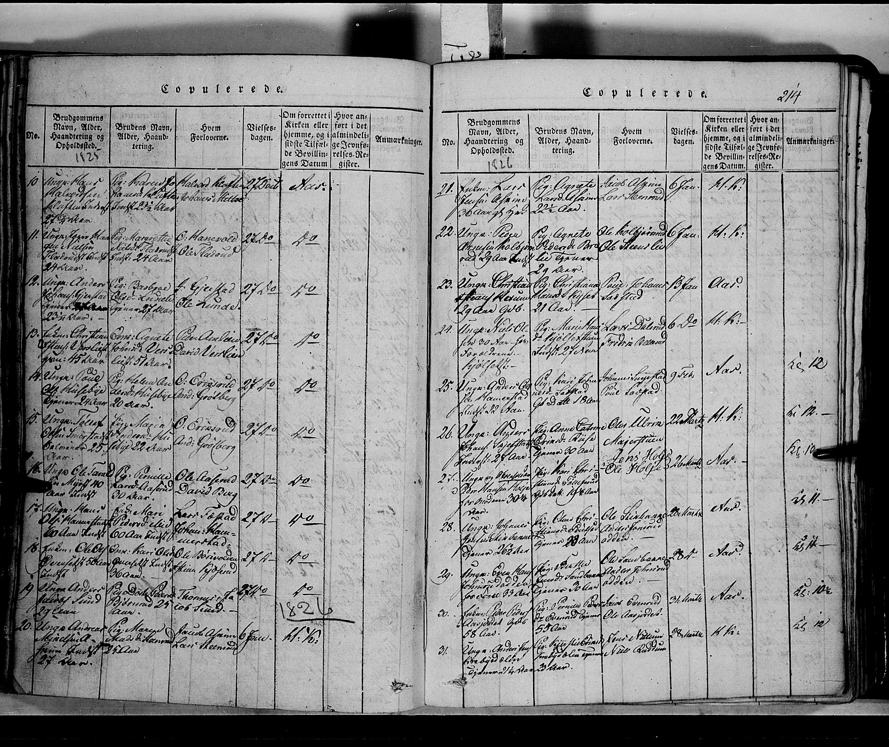 Toten prestekontor, SAH/PREST-102/H/Ha/Hab/L0002: Parish register (copy) no. 2, 1820-1827, p. 214