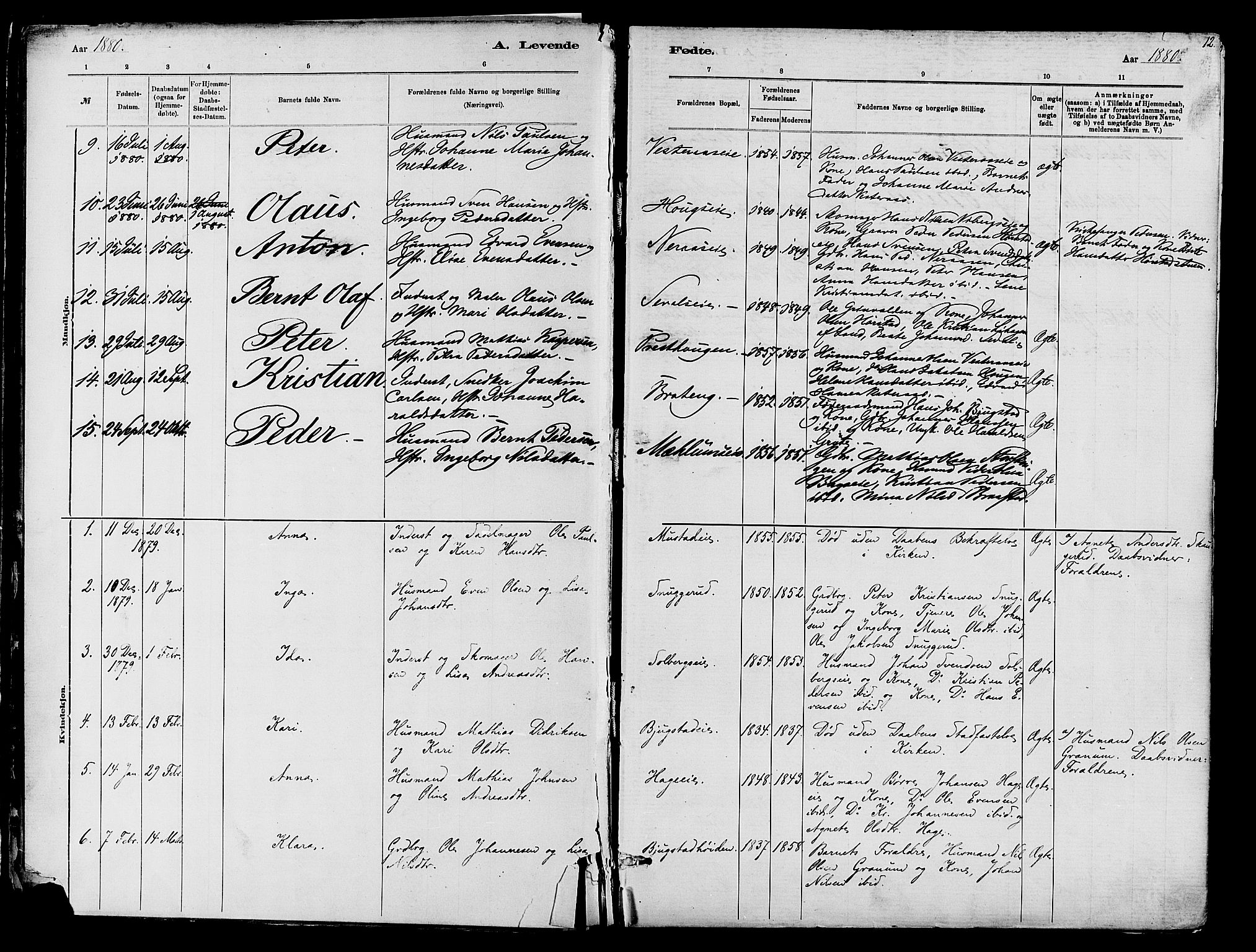 Vardal prestekontor, SAH/PREST-100/H/Ha/Haa/L0010: Parish register (official) no. 10, 1878-1893, p. 12