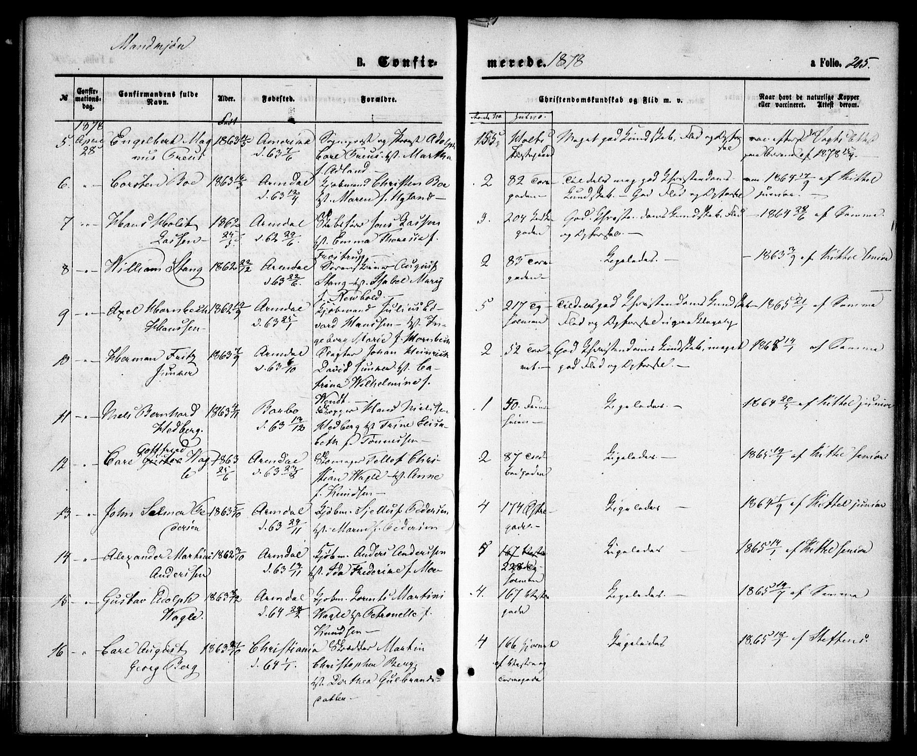 Arendal sokneprestkontor, Trefoldighet, AV/SAK-1111-0040/F/Fa/L0007: Parish register (official) no. A 7, 1868-1878, p. 205