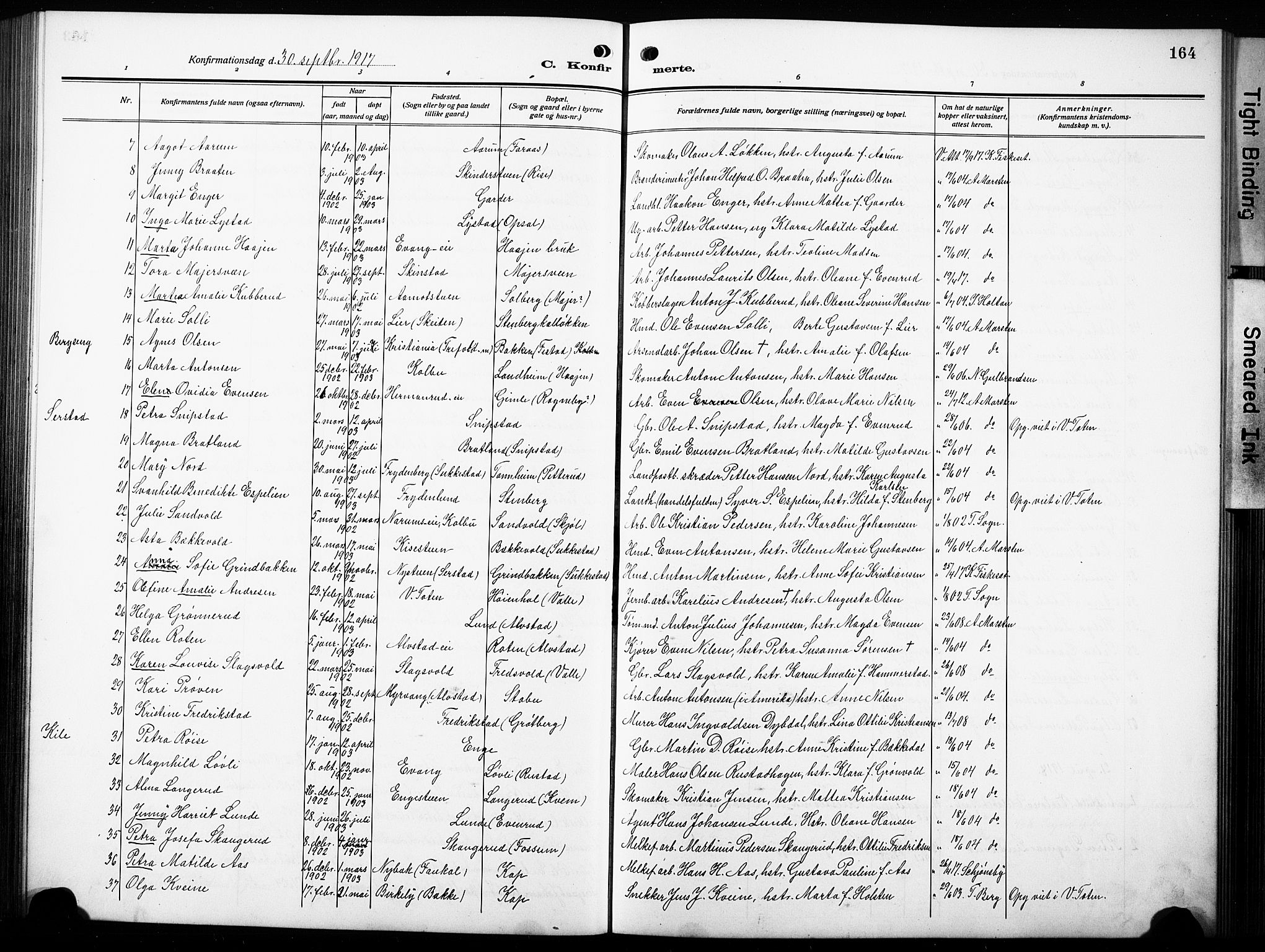 Østre Toten prestekontor, SAH/PREST-104/H/Ha/Hab/L0010: Parish register (copy) no. 10, 1912-1933, p. 164