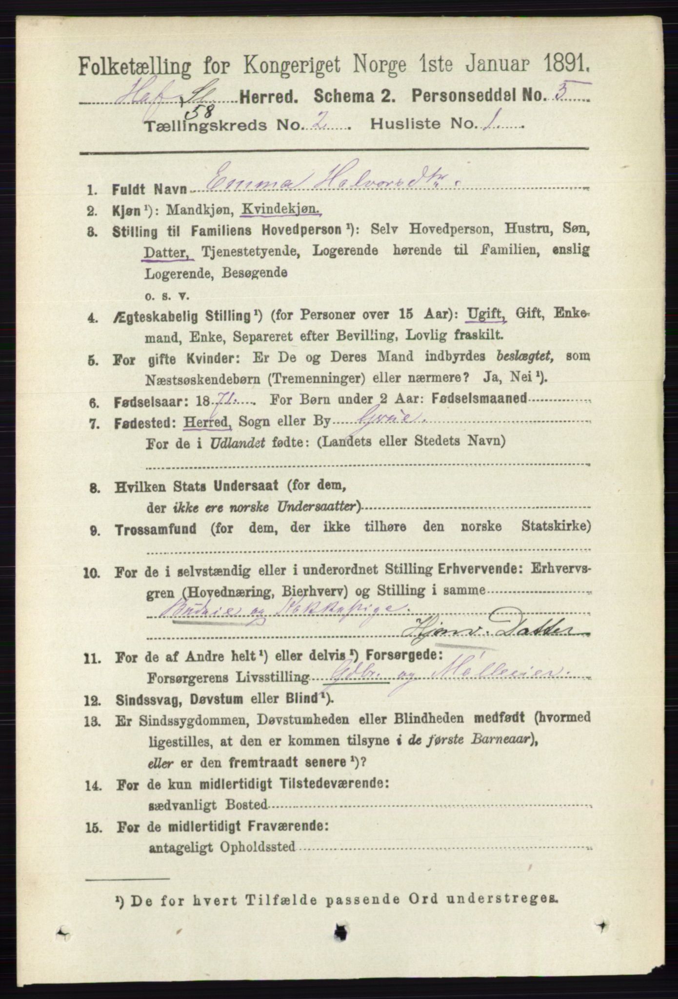 RA, 1891 census for 0424 Hof, 1891, p. 463