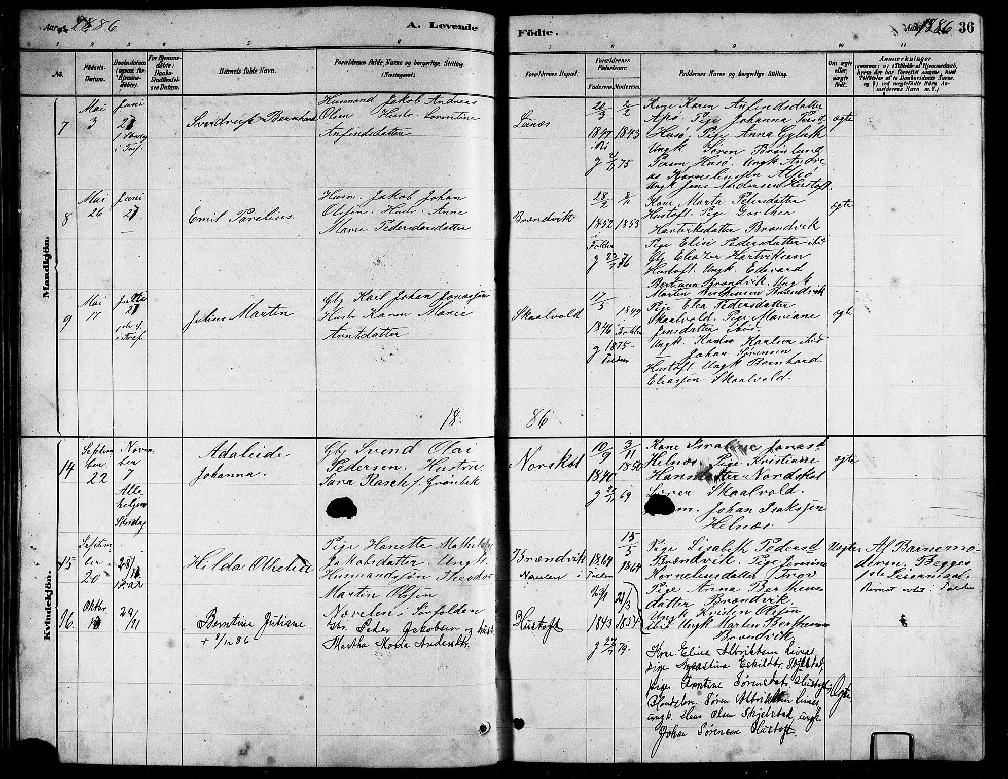 Ministerialprotokoller, klokkerbøker og fødselsregistre - Nordland, AV/SAT-A-1459/857/L0828: Parish register (copy) no. 857C03, 1879-1908, p. 36