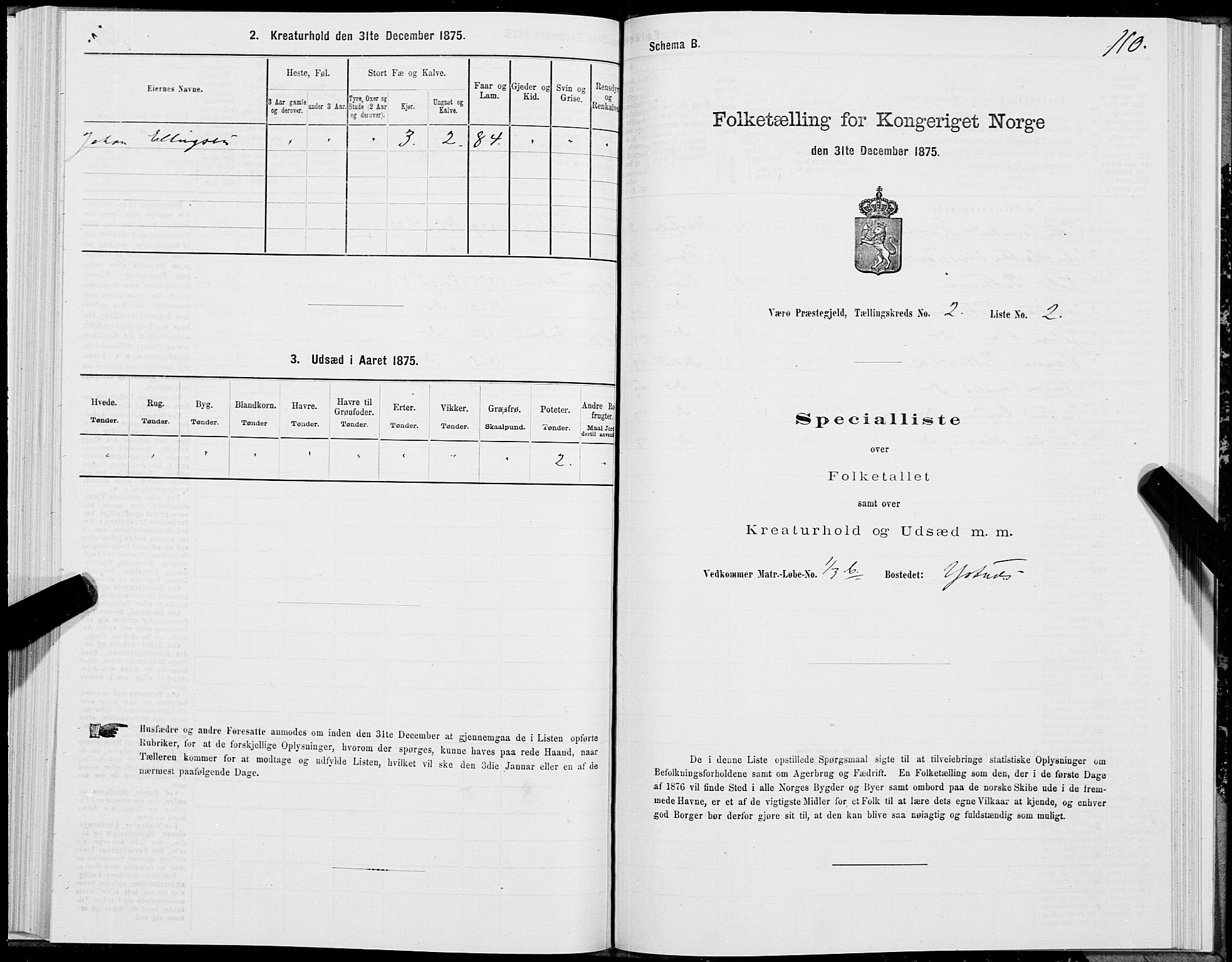 SAT, 1875 census for 1857P Værøy, 1875, p. 1110