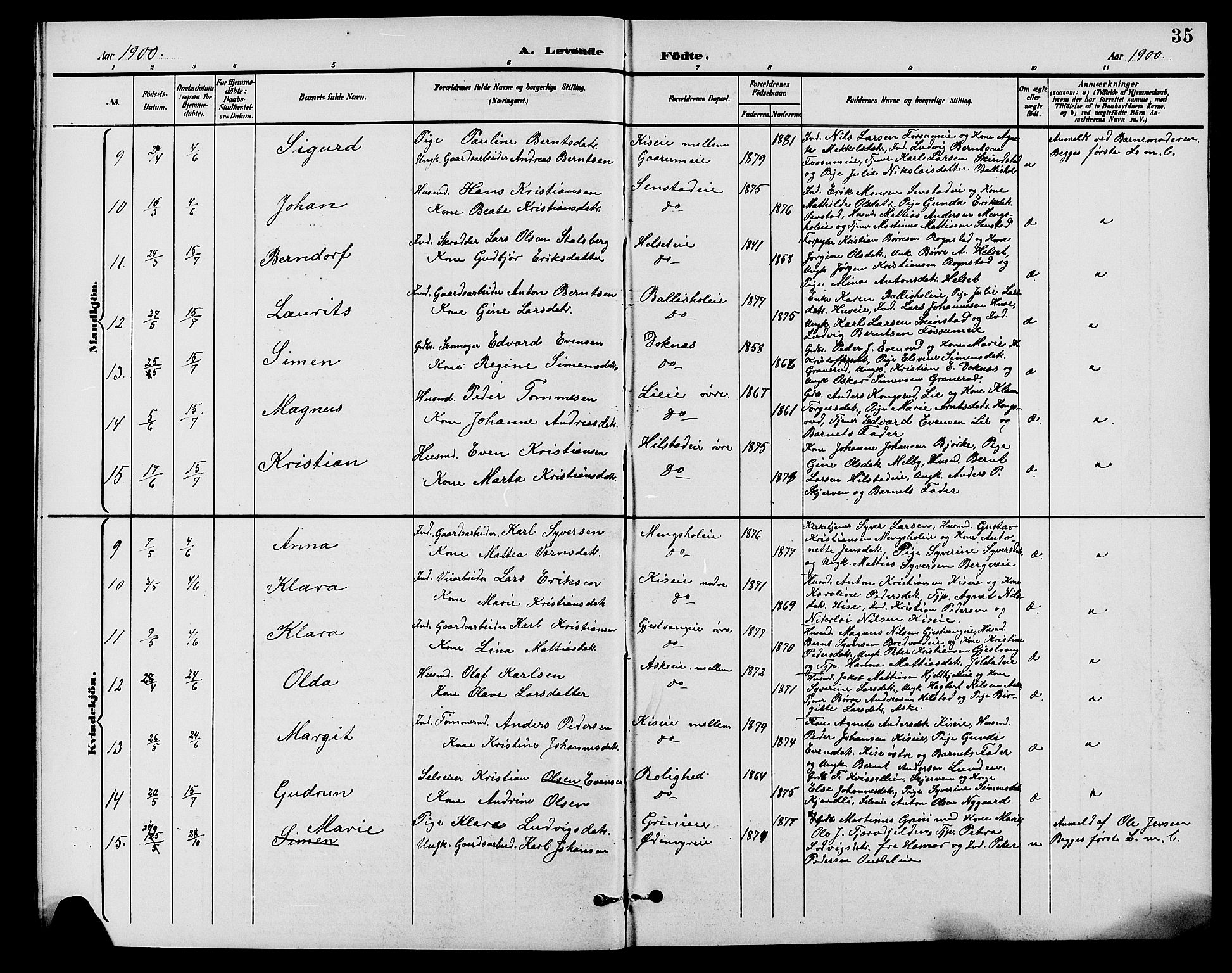 Nes prestekontor, Hedmark, AV/SAH-PREST-020/L/La/L0007: Parish register (copy) no. 7, 1892-1912, p. 35