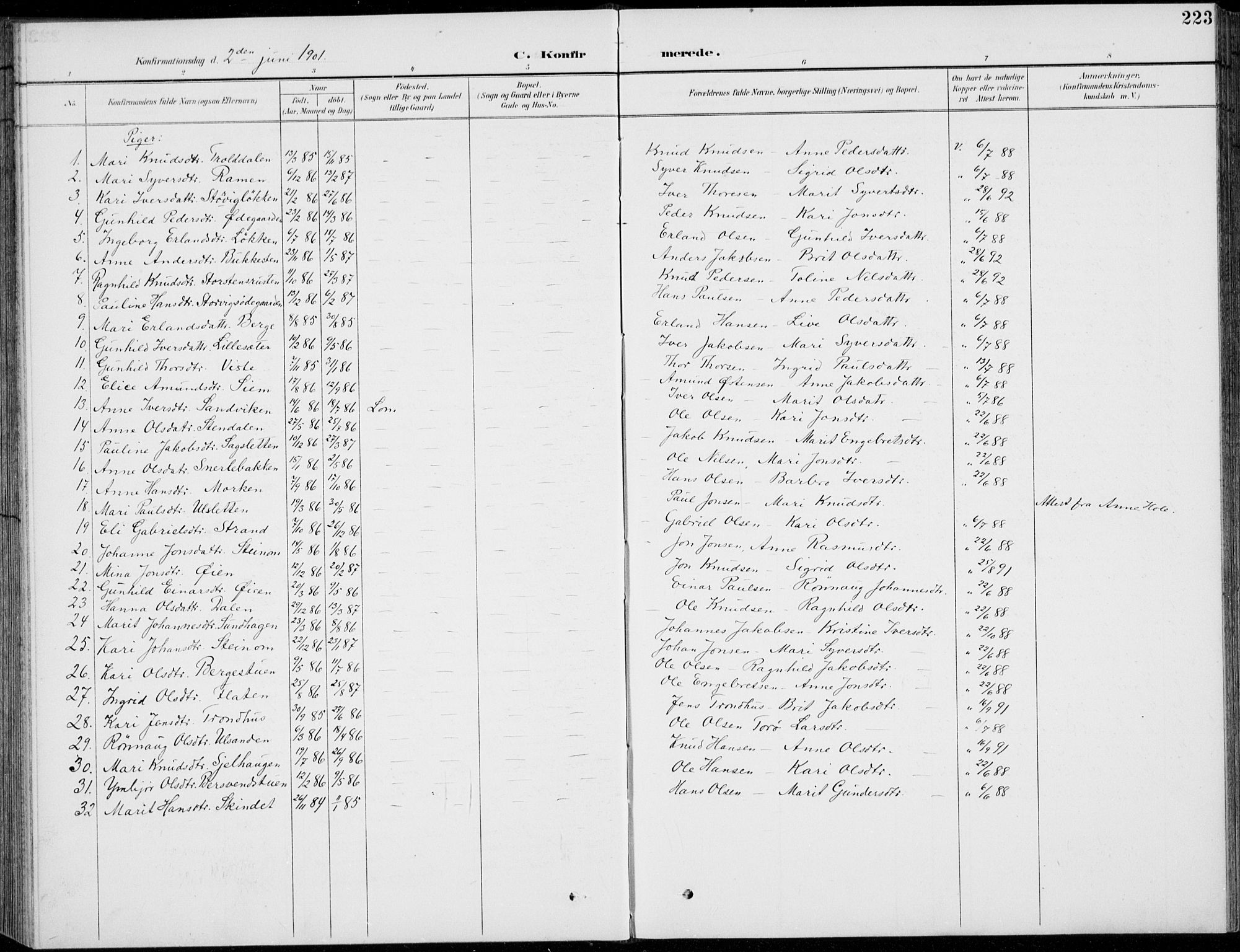 Vågå prestekontor, AV/SAH-PREST-076/H/Ha/Hab/L0002: Parish register (copy) no. 2, 1894-1939, p. 223