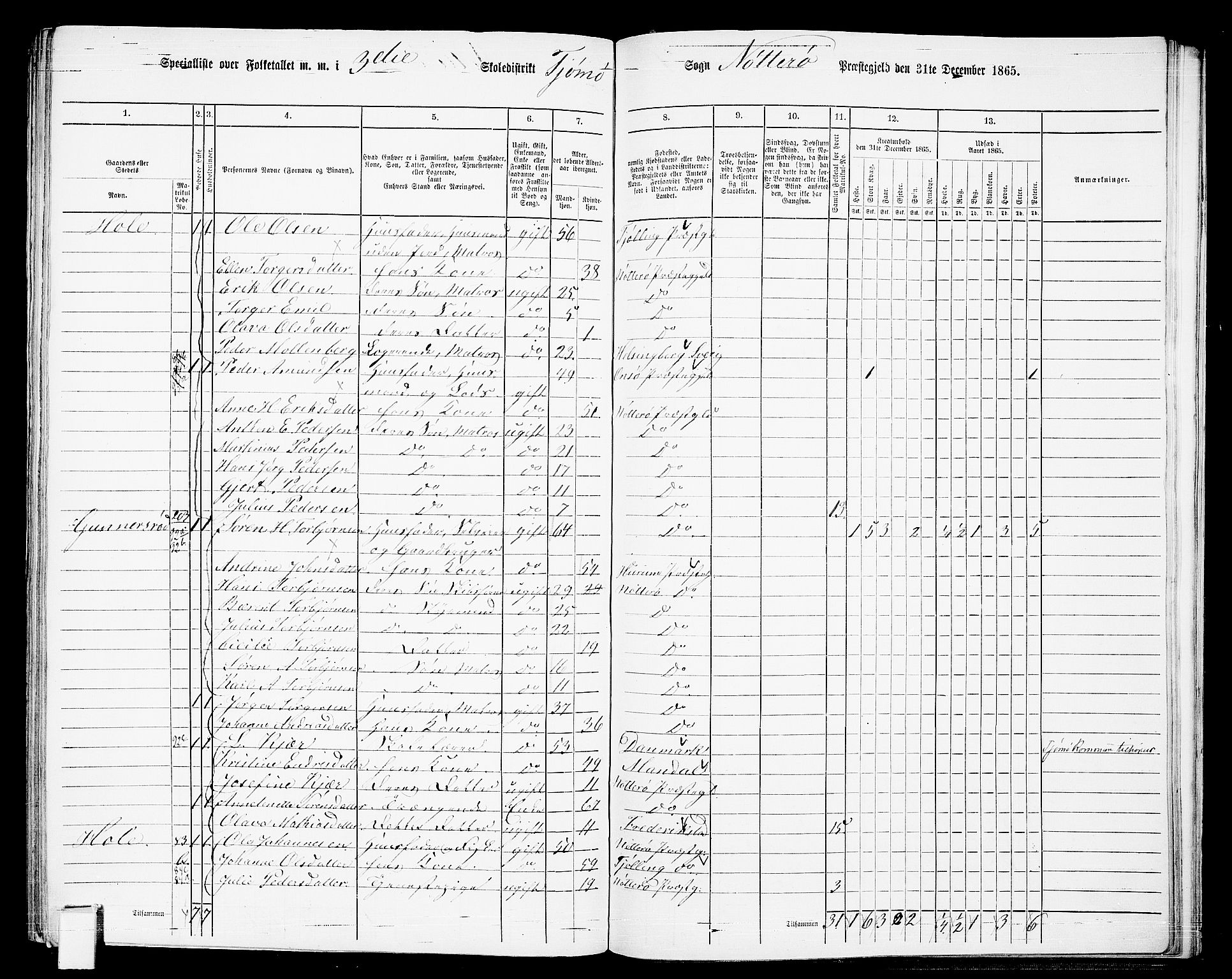 RA, 1865 census for Nøtterøy, 1865, p. 273