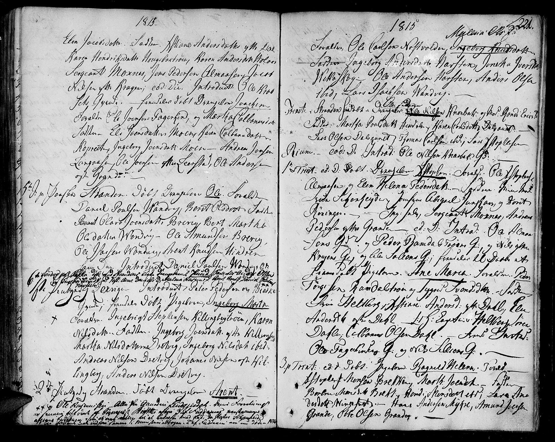 Ministerialprotokoller, klokkerbøker og fødselsregistre - Nord-Trøndelag, AV/SAT-A-1458/701/L0004: Parish register (official) no. 701A04, 1783-1816, p. 221