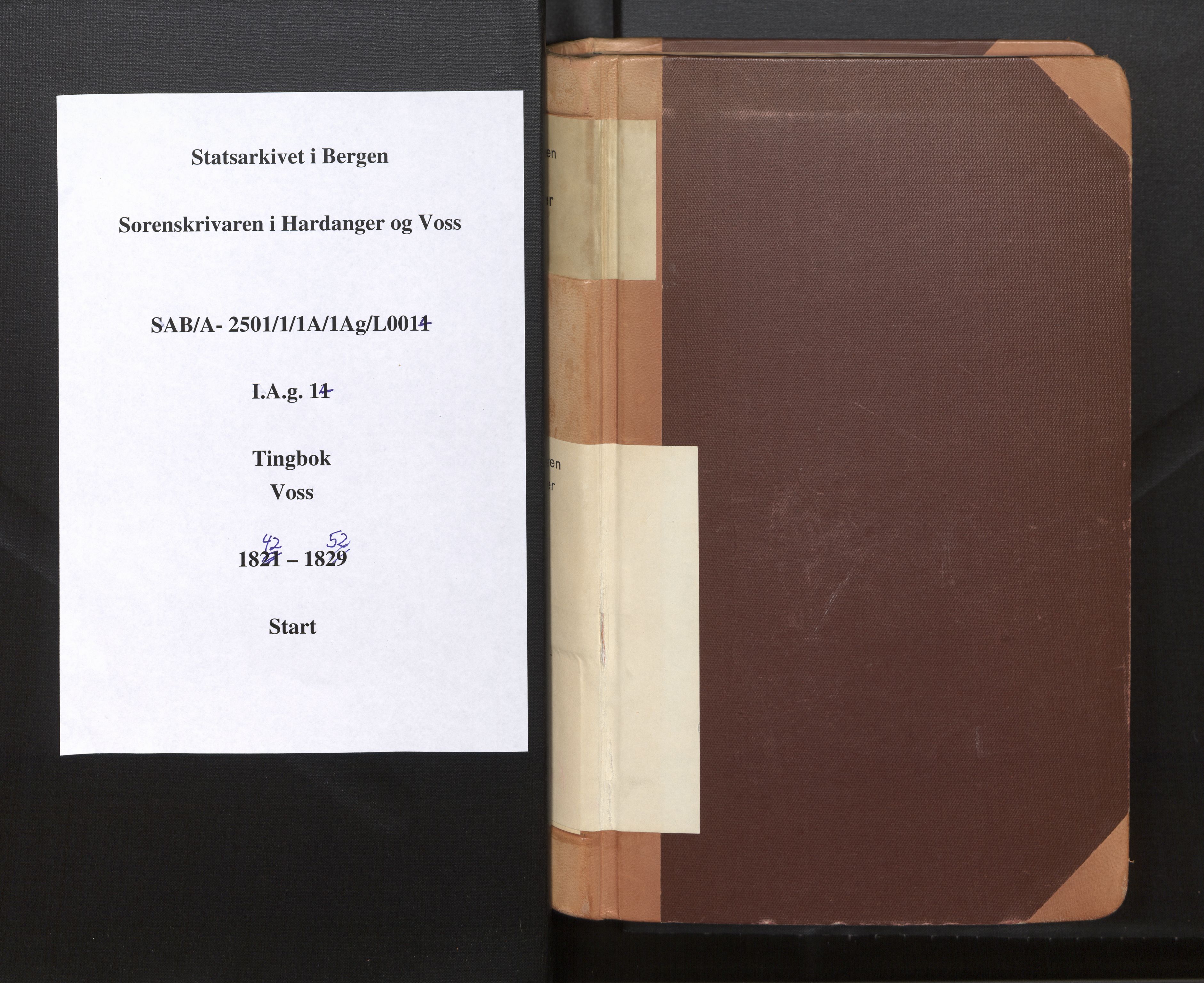 Hardanger og Voss sorenskriveri, SAB/A-2501/1/1A/1Ag/L0014: Tingbok for Voss, 1842-1852