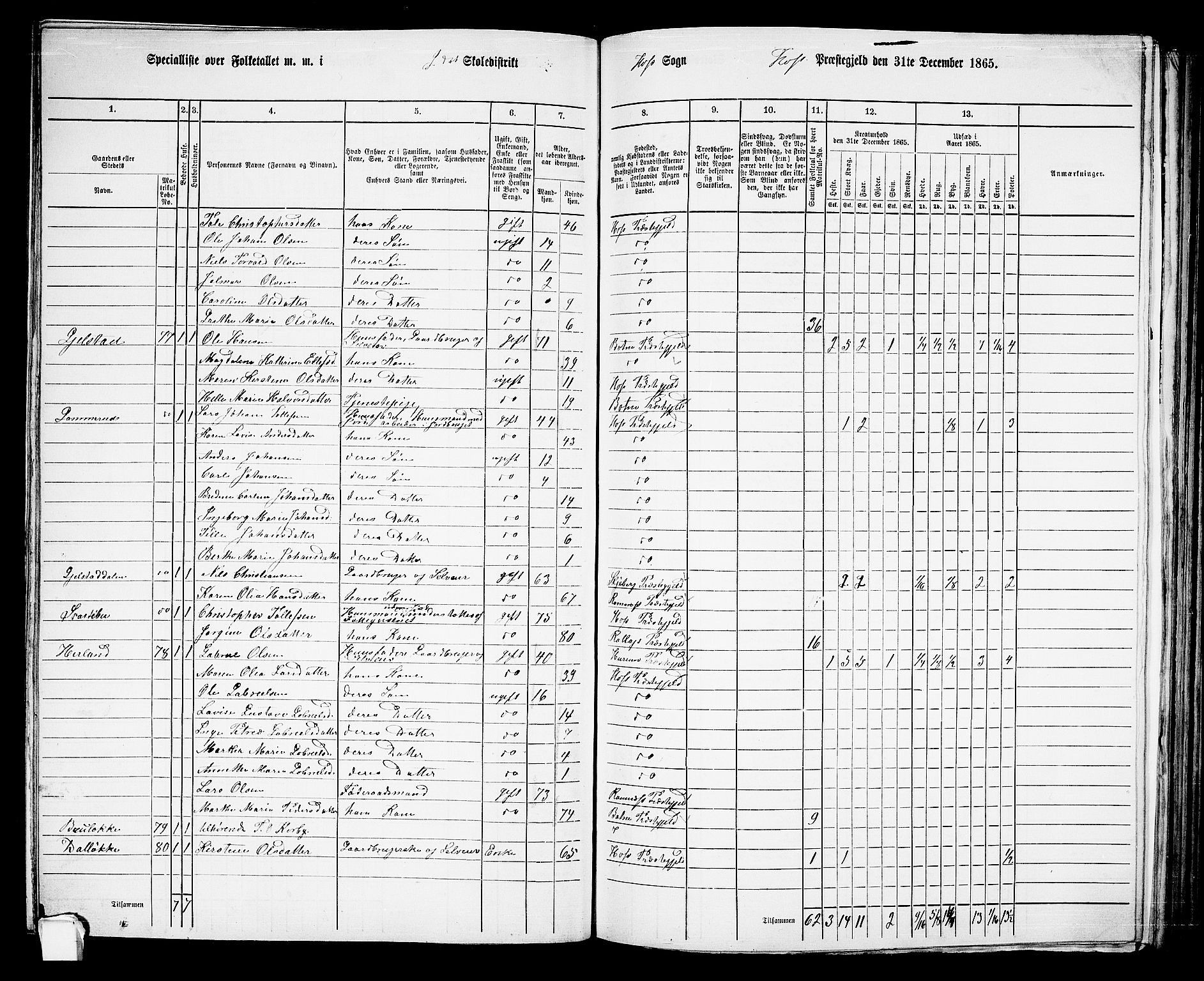 RA, 1865 census for Hof, 1865, p. 106