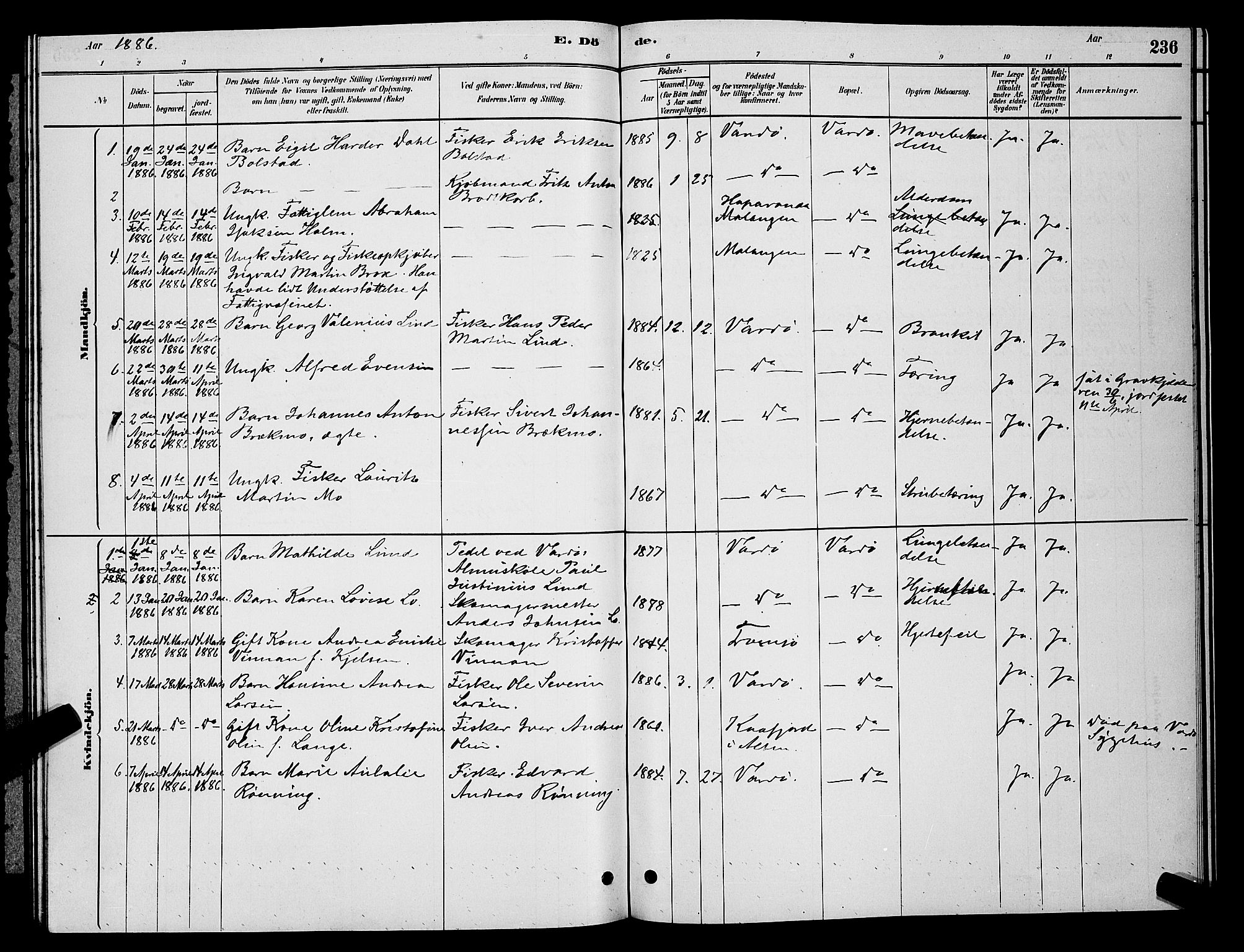 Vardø sokneprestkontor, AV/SATØ-S-1332/H/Hb/L0004klokker: Parish register (copy) no. 4, 1879-1887, p. 236