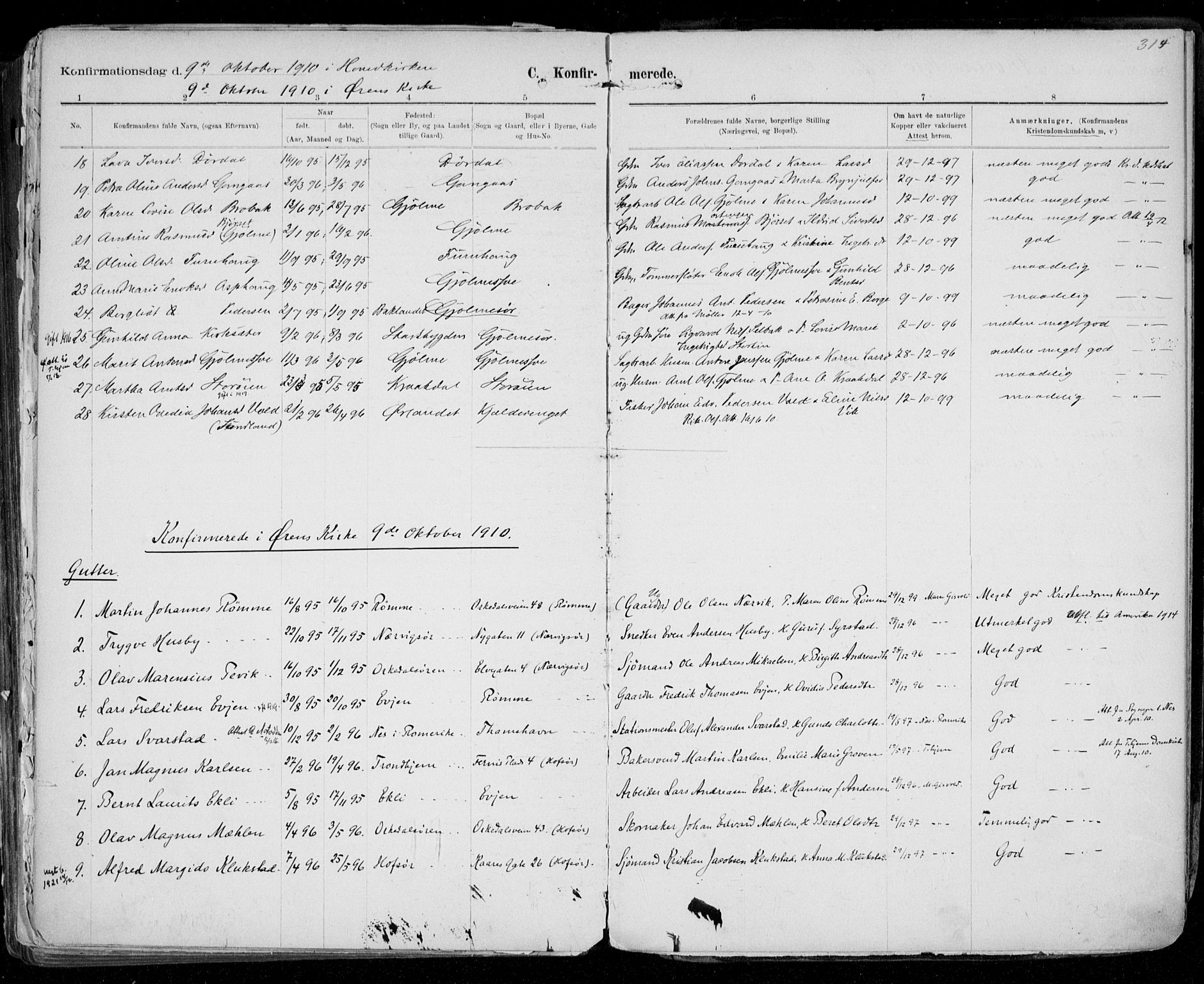 Ministerialprotokoller, klokkerbøker og fødselsregistre - Sør-Trøndelag, AV/SAT-A-1456/668/L0811: Parish register (official) no. 668A11, 1894-1913, p. 314