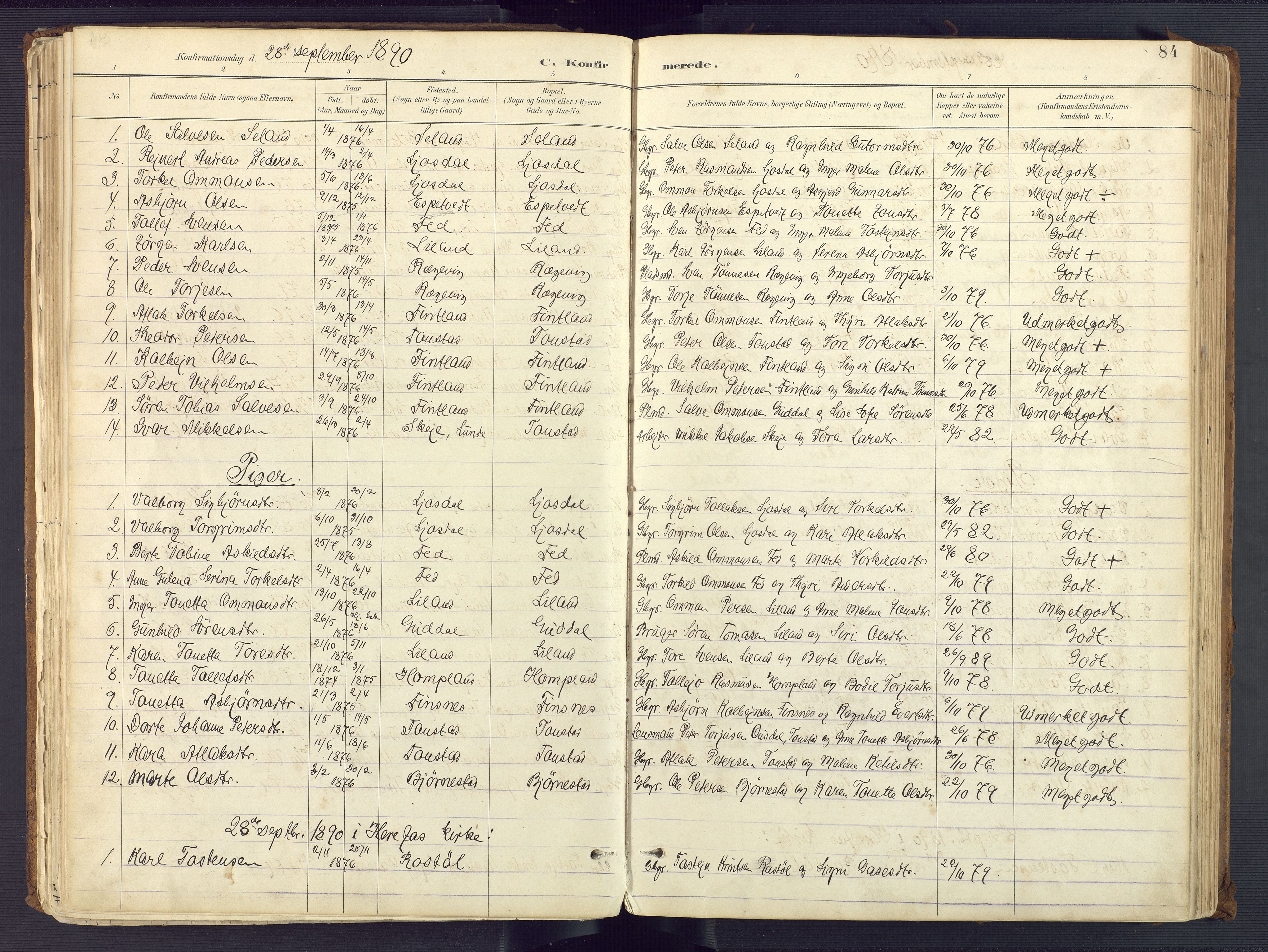 Sirdal sokneprestkontor, SAK/1111-0036/F/Fa/Fab/L0004: Parish register (official) no. A 4, 1887-1919, p. 84