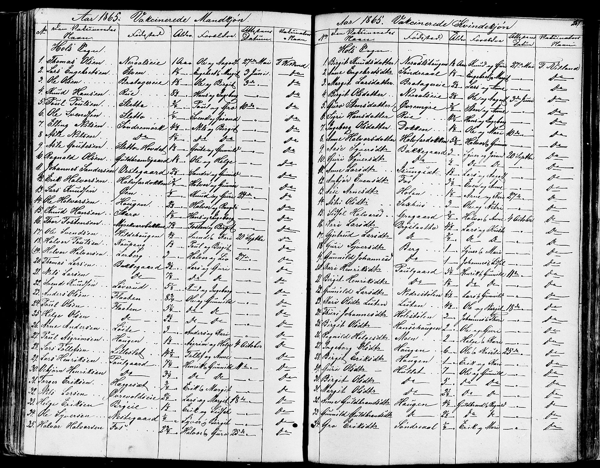 Ål kirkebøker, SAKO/A-249/F/Fa/L0007: Parish register (official) no. I 7, 1865-1881, p. 287