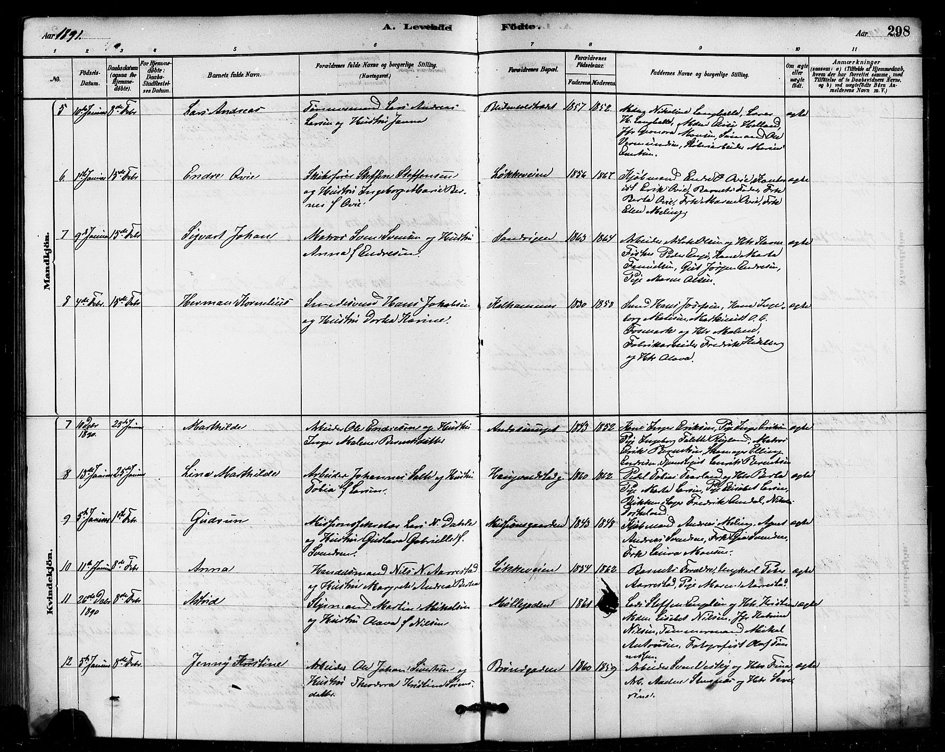 Domkirken sokneprestkontor, SAST/A-101812/001/30/30BB/L0015: Parish register (copy) no. B 15, 1880-1891, p. 298