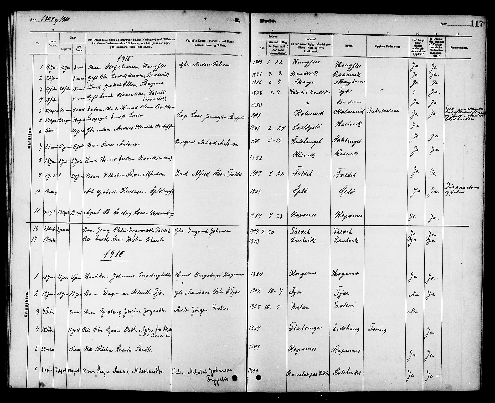 Ministerialprotokoller, klokkerbøker og fødselsregistre - Nord-Trøndelag, SAT/A-1458/780/L0652: Parish register (copy) no. 780C04, 1899-1911, p. 117