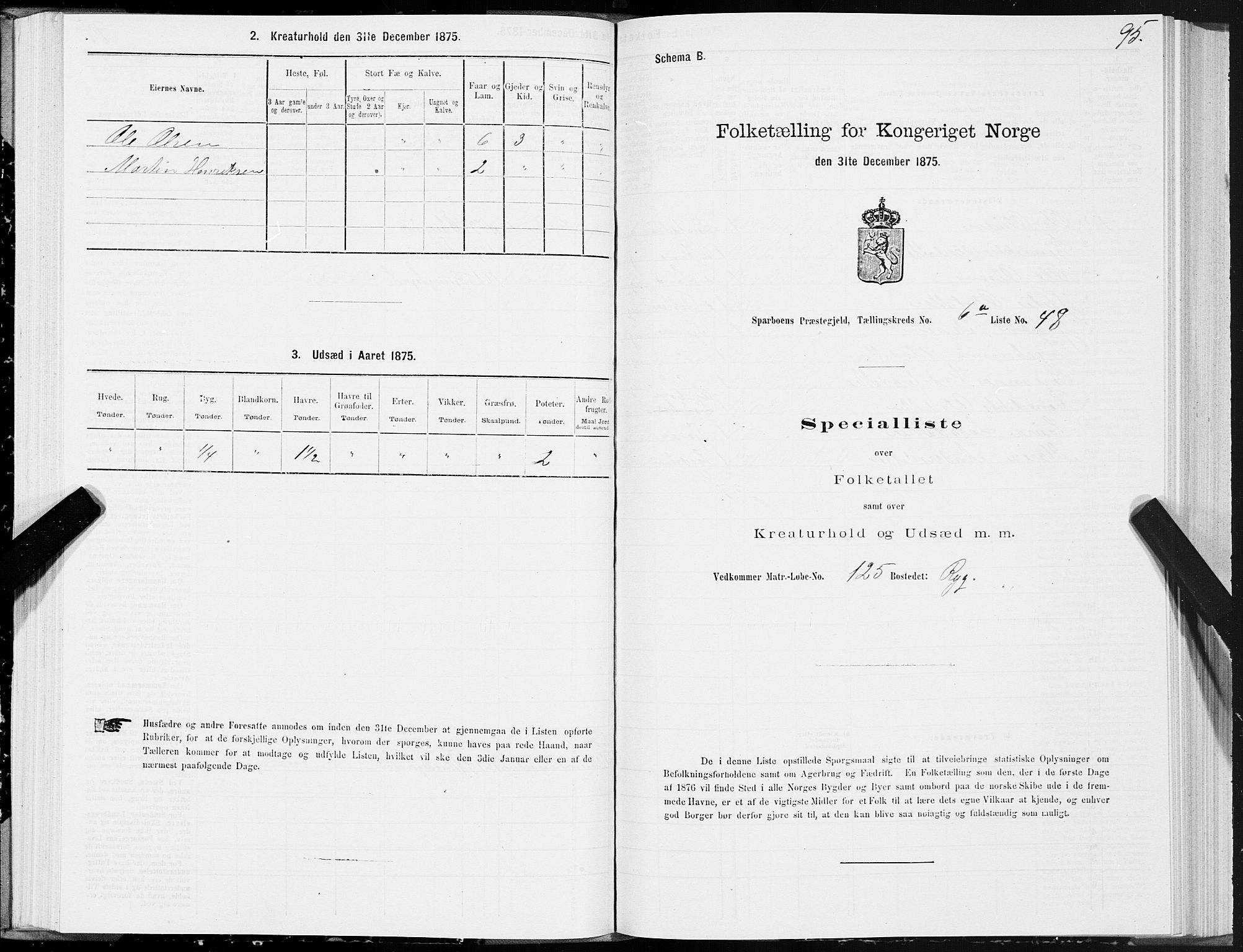 SAT, 1875 census for 1731P Sparbu, 1875, p. 3095