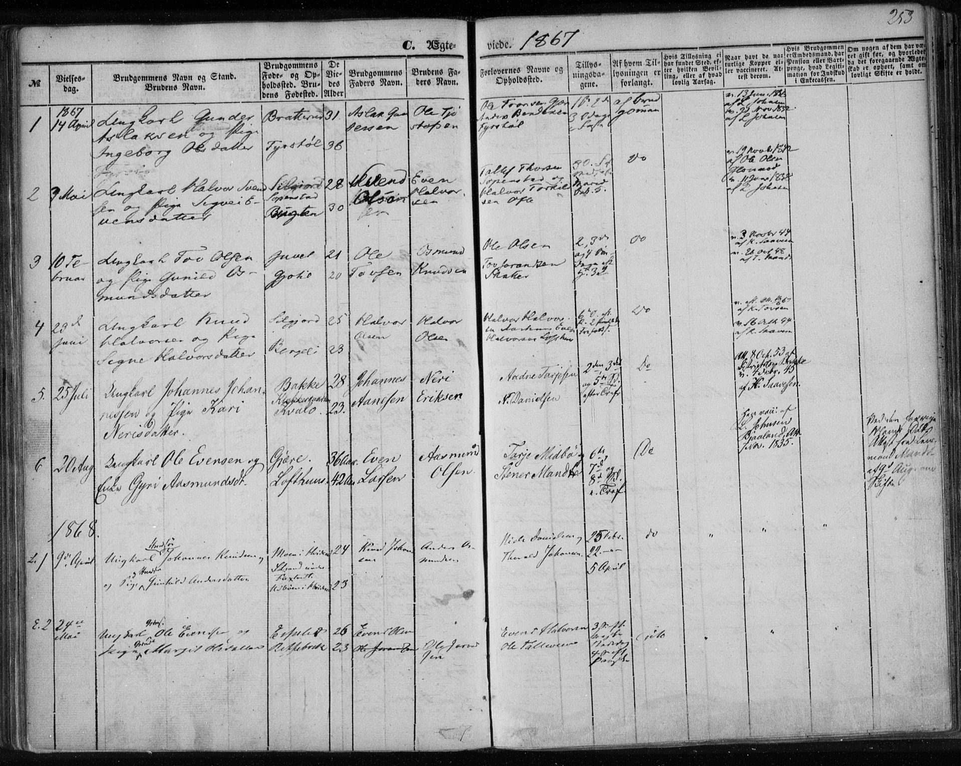 Lårdal kirkebøker, SAKO/A-284/F/Fa/L0006: Parish register (official) no. I 6, 1861-1886, p. 253