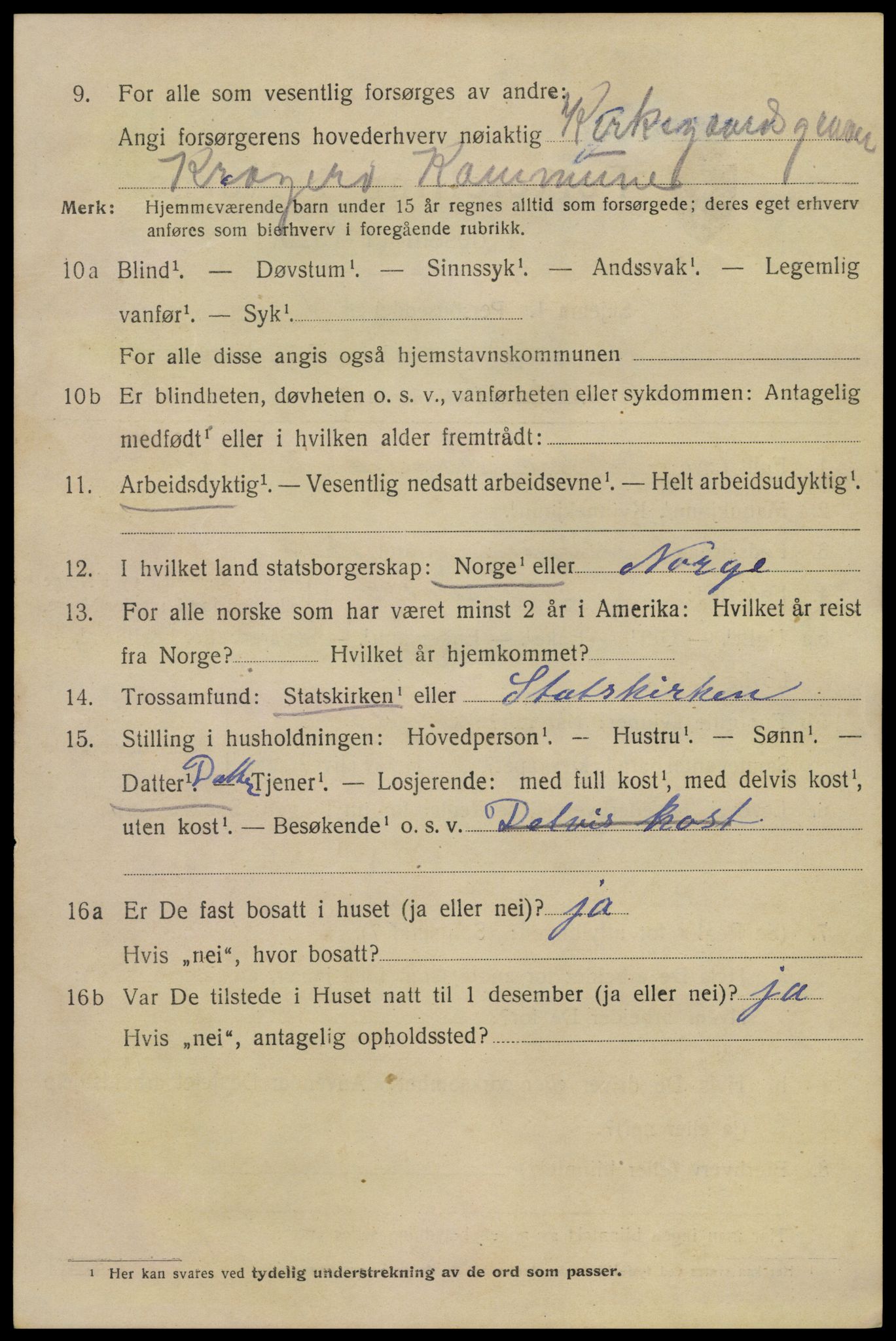 SAKO, 1920 census for Kragerø, 1920, p. 9050