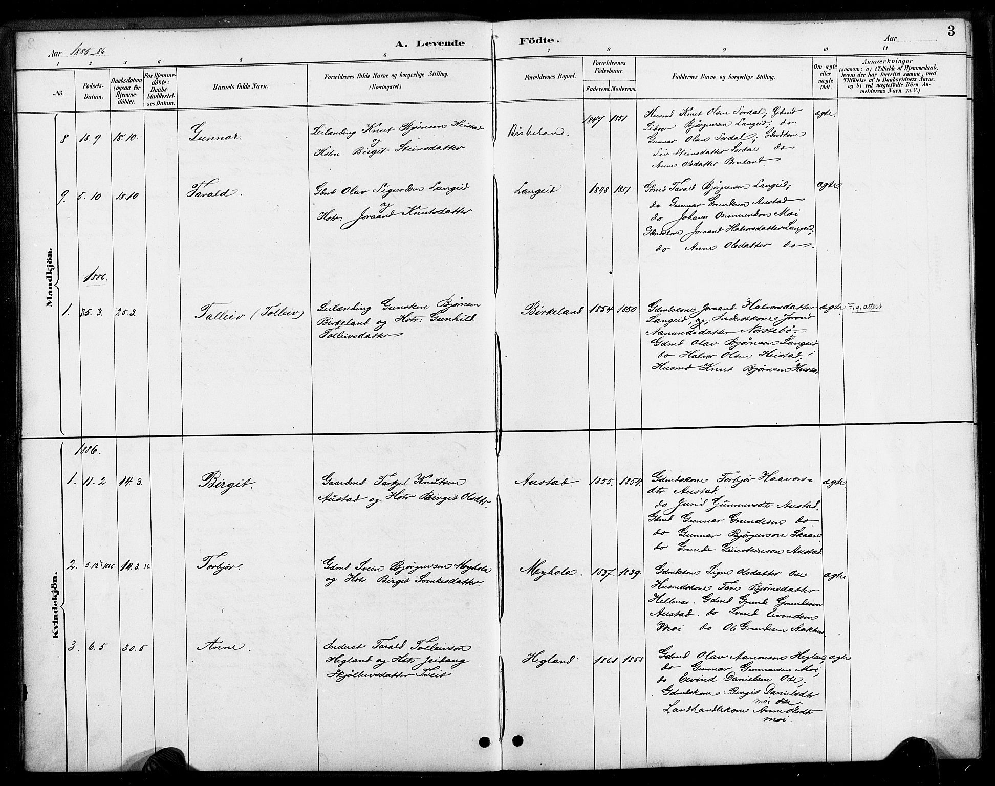 Bygland sokneprestkontor, AV/SAK-1111-0006/F/Fa/Faa/L0001: Parish register (official) no. A 1, 1885-1908, p. 3