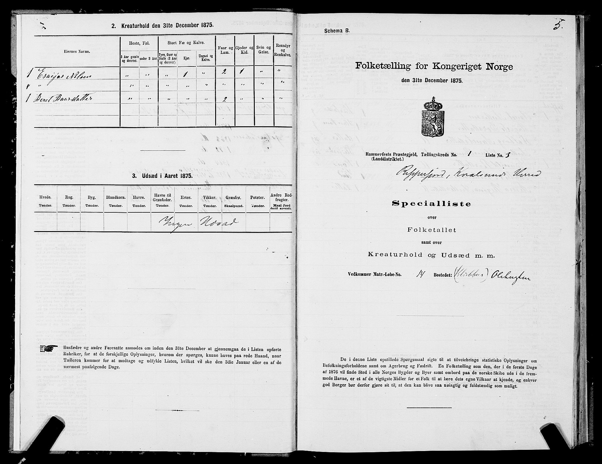 SATØ, 1875 census for 2016L Hammerfest/Hammerfest og Kvalsund, 1875, p. 2005