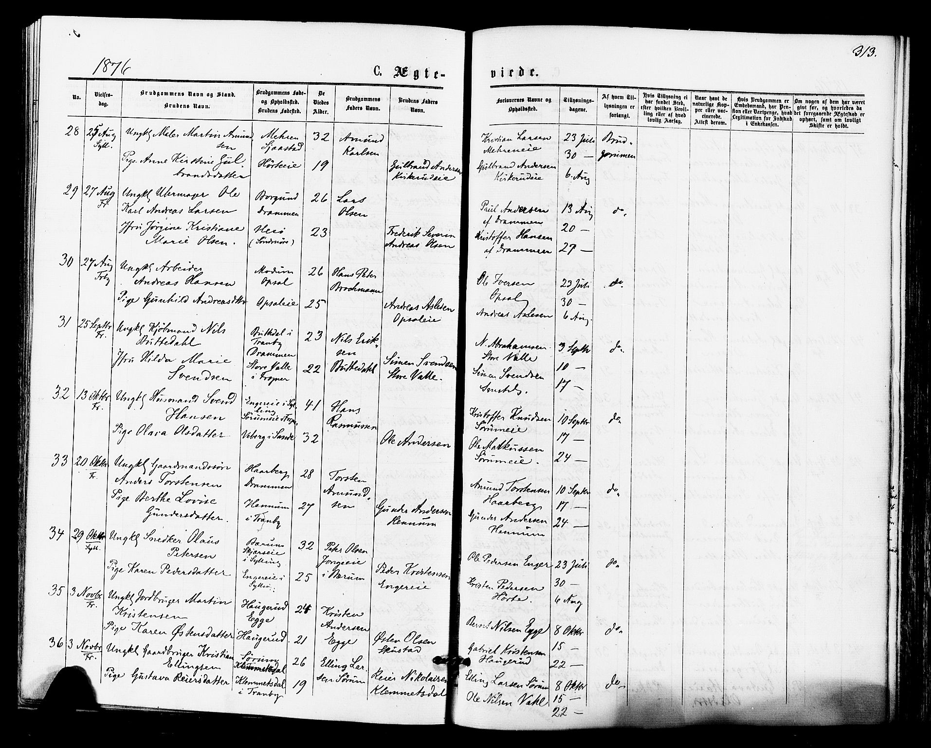 Lier kirkebøker, SAKO/A-230/F/Fa/L0014: Parish register (official) no. I 14, 1875-1882, p. 313