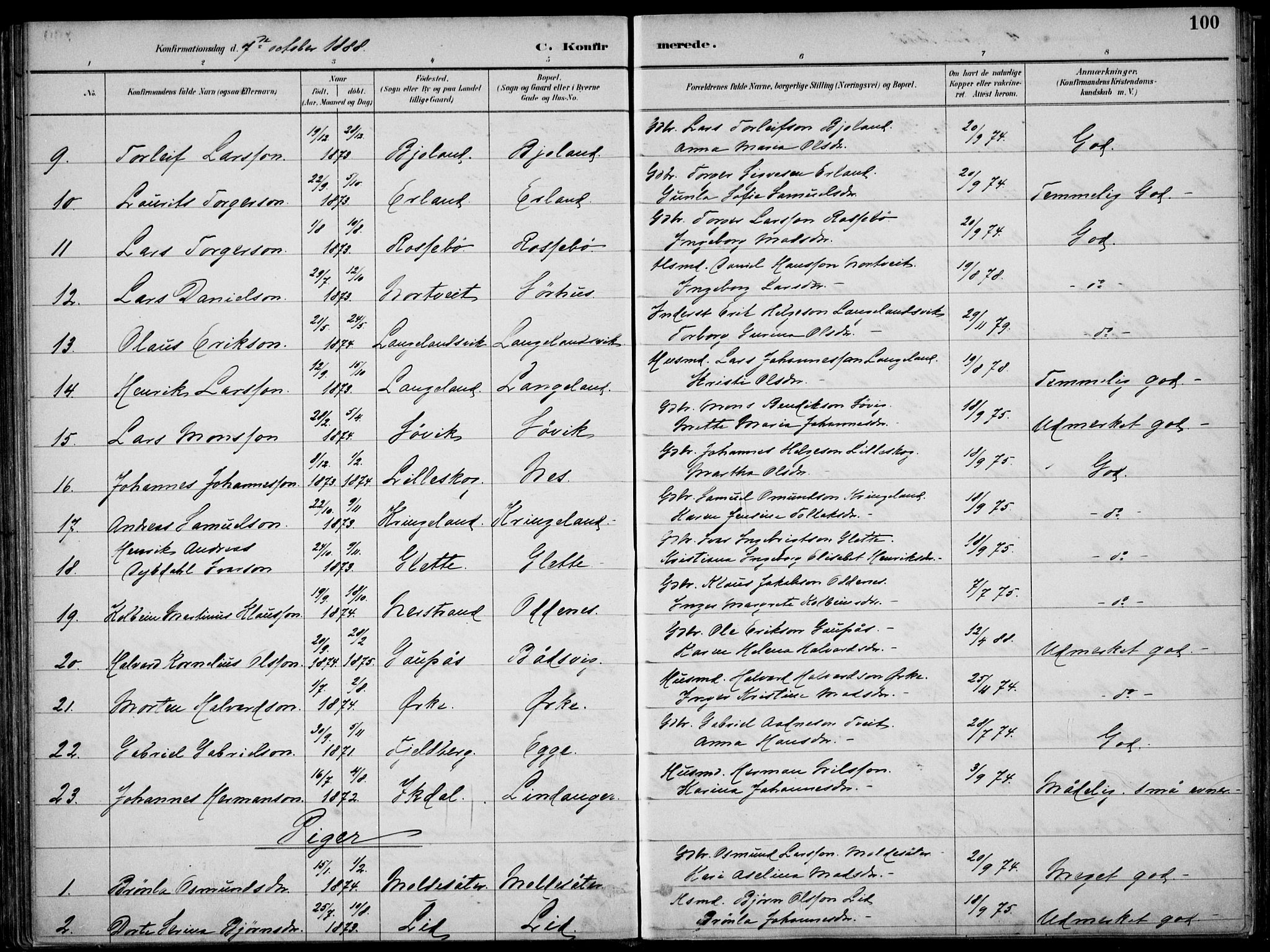 Skjold sokneprestkontor, AV/SAST-A-101847/H/Ha/Haa/L0010: Parish register (official) no. A 10, 1882-1897, p. 100